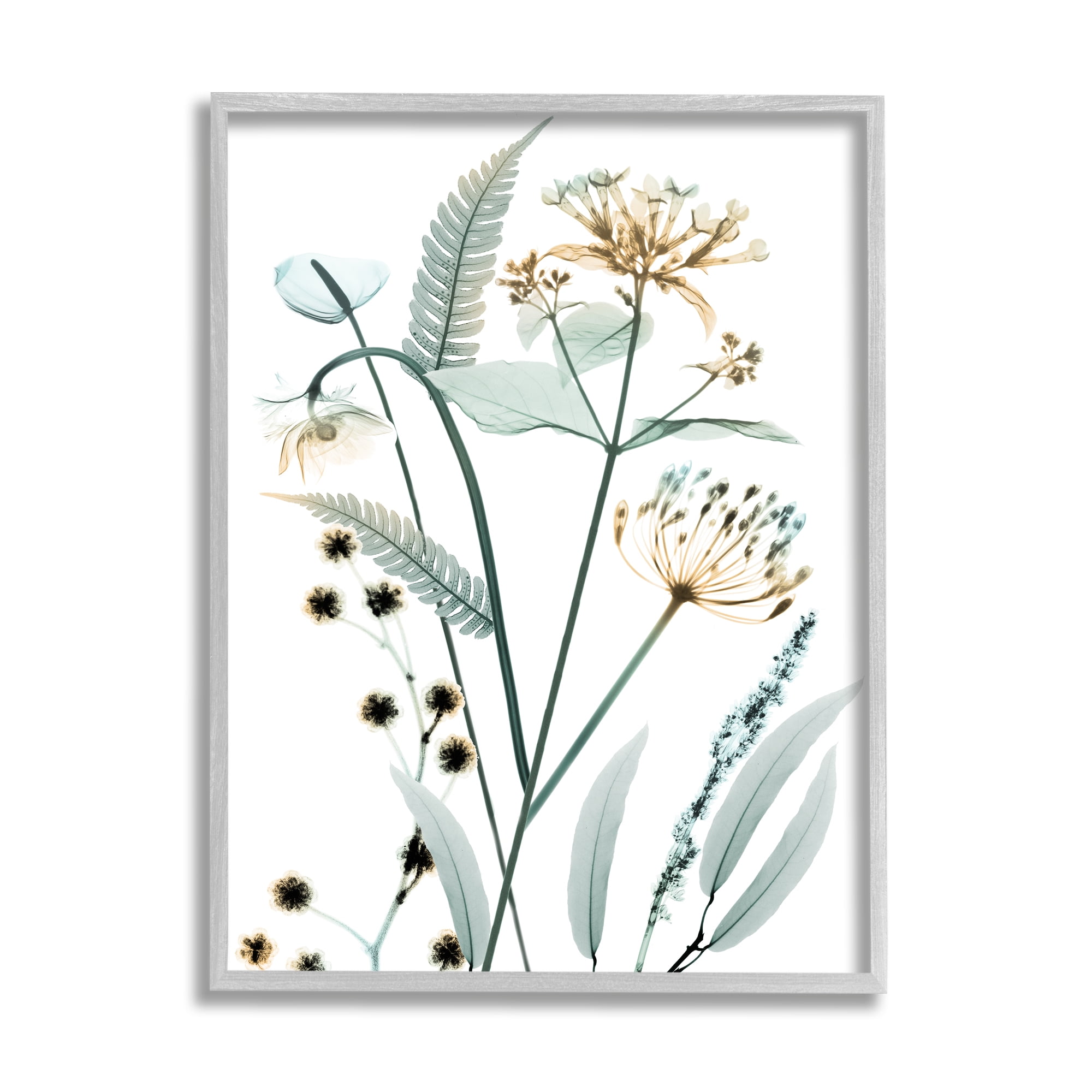 Stupell Industries Spring Meadow Wildflowers Translucent Plant Botanical & Floral Photography Gray Framed Art Print Wall Art, 16 x 20