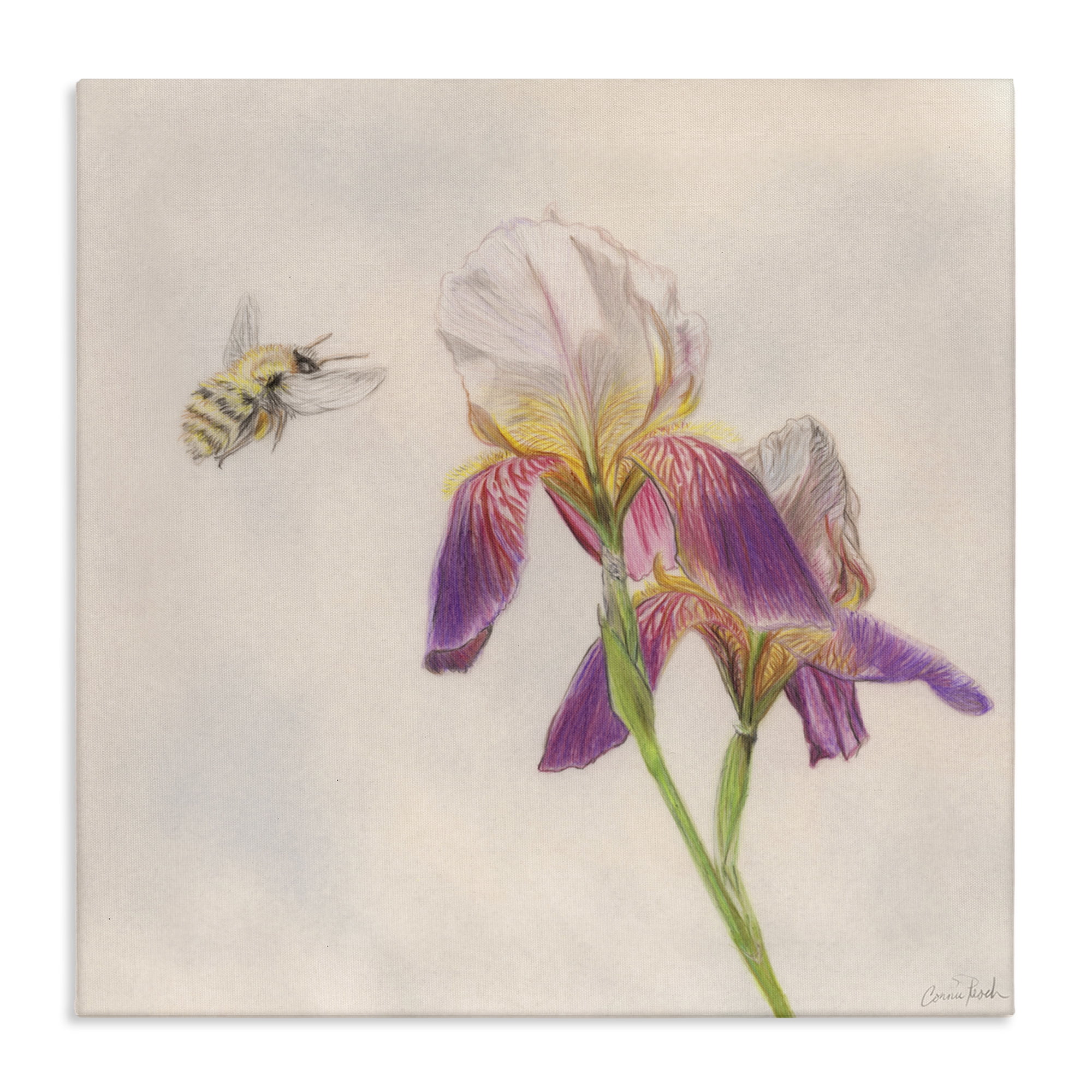 Stupell Industries Spring Offerings Bee Animals & Insects Painting Gallery Wrapped Canvas Art Print Wall Art, 24 x 24