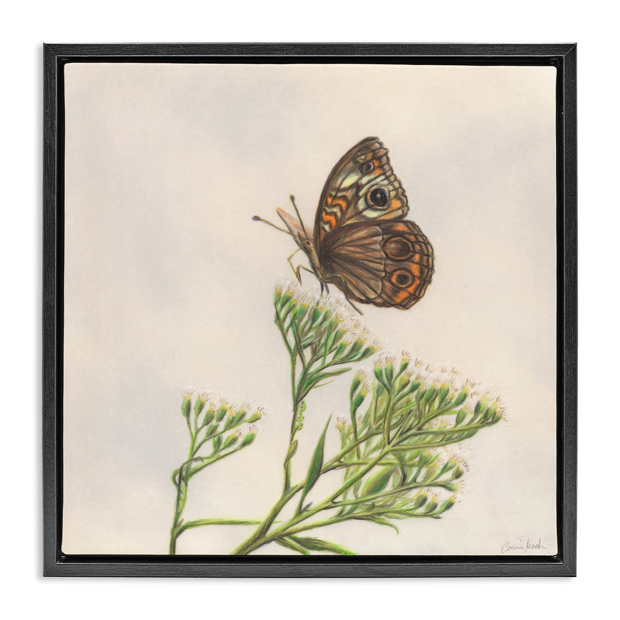 Stupell Industries Spring Offerings Butterfly Animals & Insects Painting Black Floater Framed Canvas Art Print Wall Art, 25 x 25