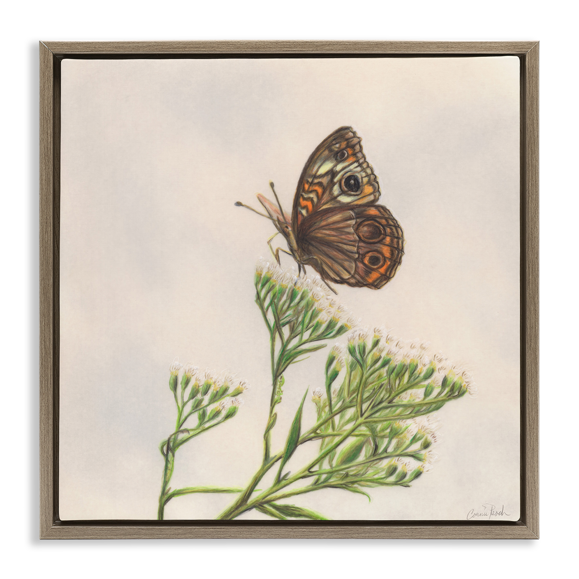 Stupell Industries Spring Offerings Butterfly Animals & Insects Painting Brown Floater Framed Canvas Art Print Wall Art, 18 x 18