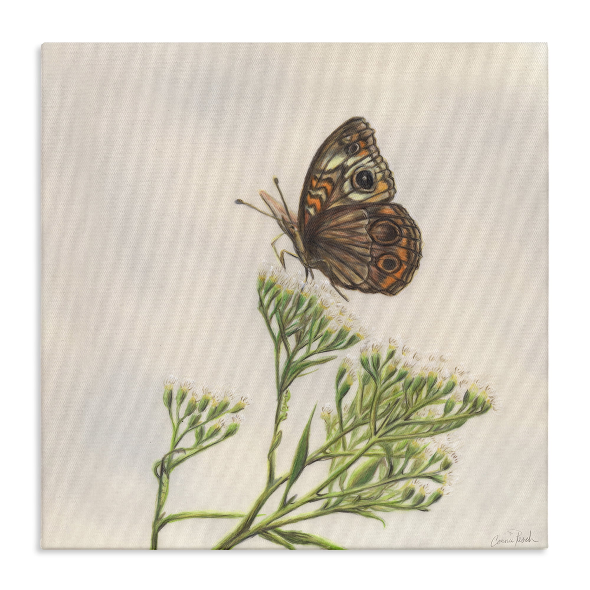 Stupell Industries Spring Offerings Butterfly Animals & Insects Painting Gallery Wrapped Canvas Art Print Wall Art, 30 x 30