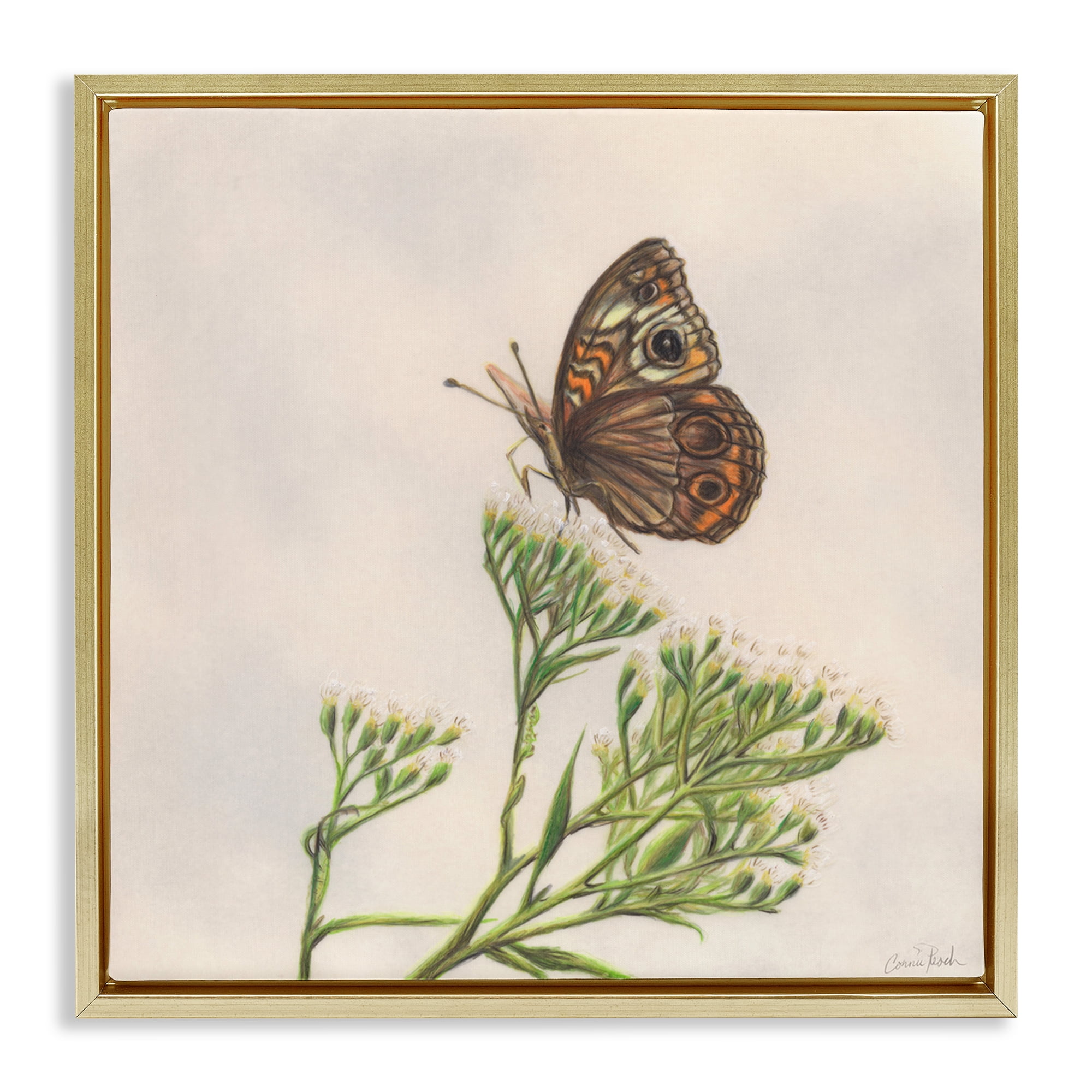 Stupell Industries Spring Offerings Butterfly Animals & Insects Painting Gold Floater Framed Canvas Art Print Wall Art, 25 x 25