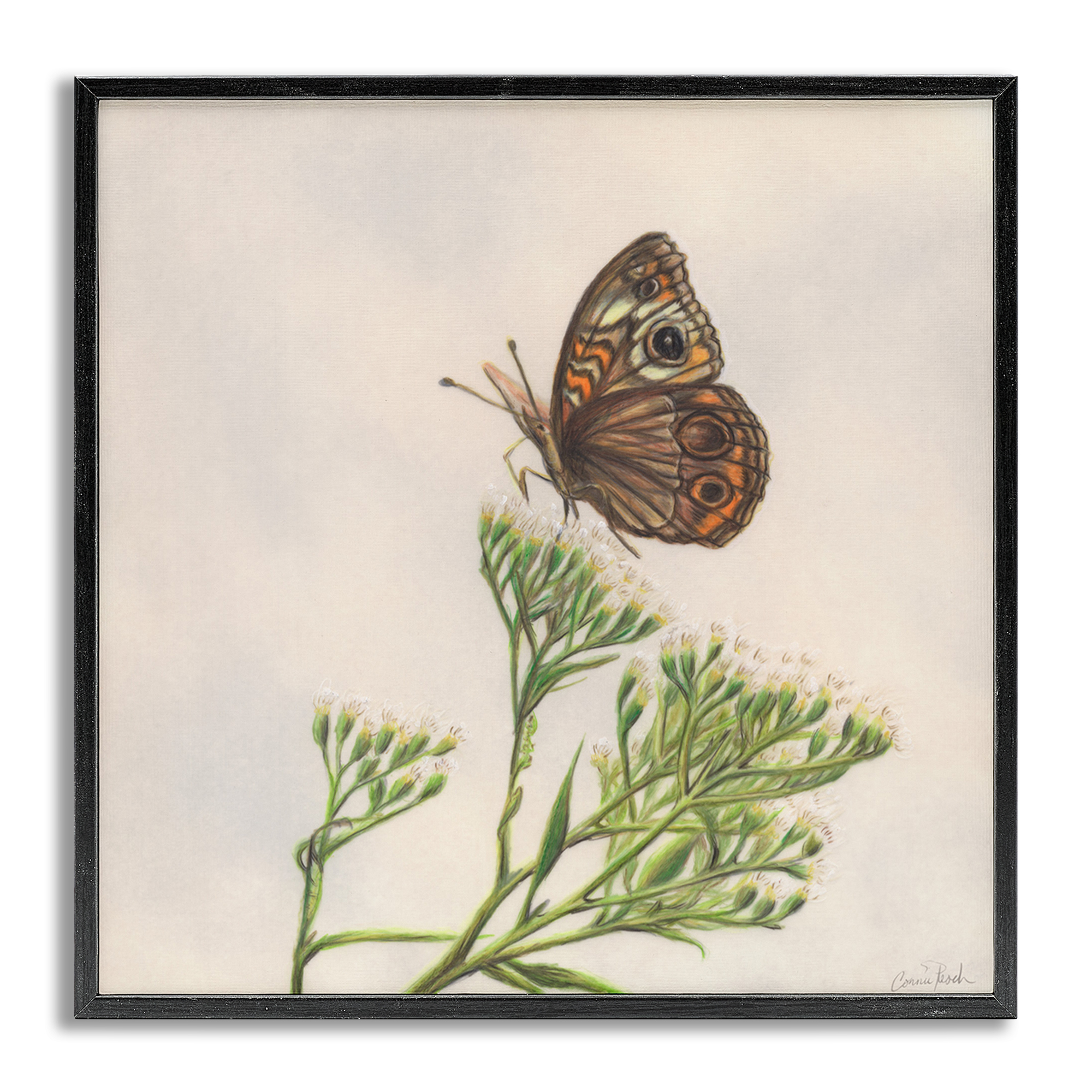 Stupell Industries Spring Offerings Butterfly Animals & Insects Painting Gray Framed Art Print Wall Art, 17 x 17