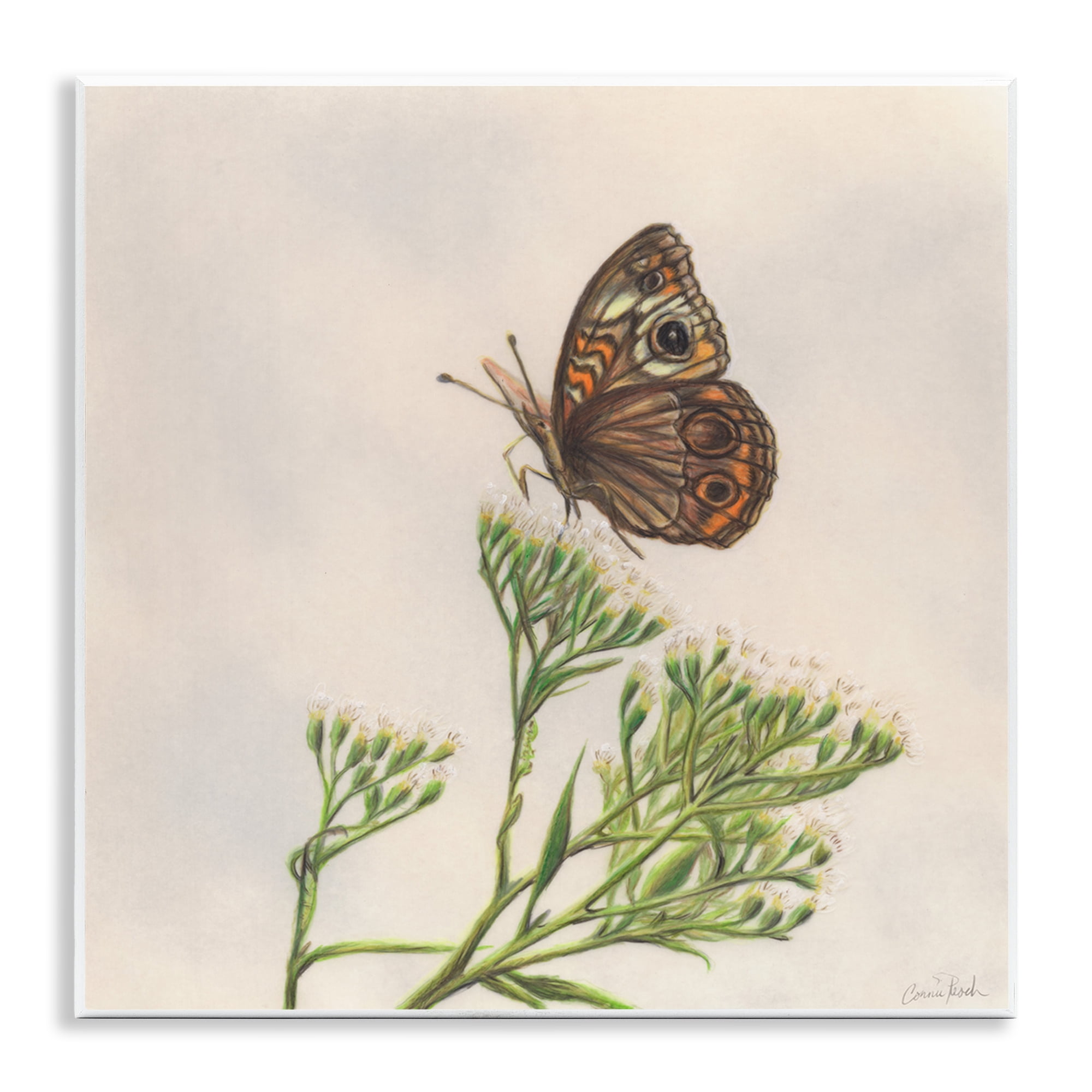 Stupell Industries Spring Offerings Butterfly Animals & Insects Painting Unframed Art Print Wall Art, 12 x 12