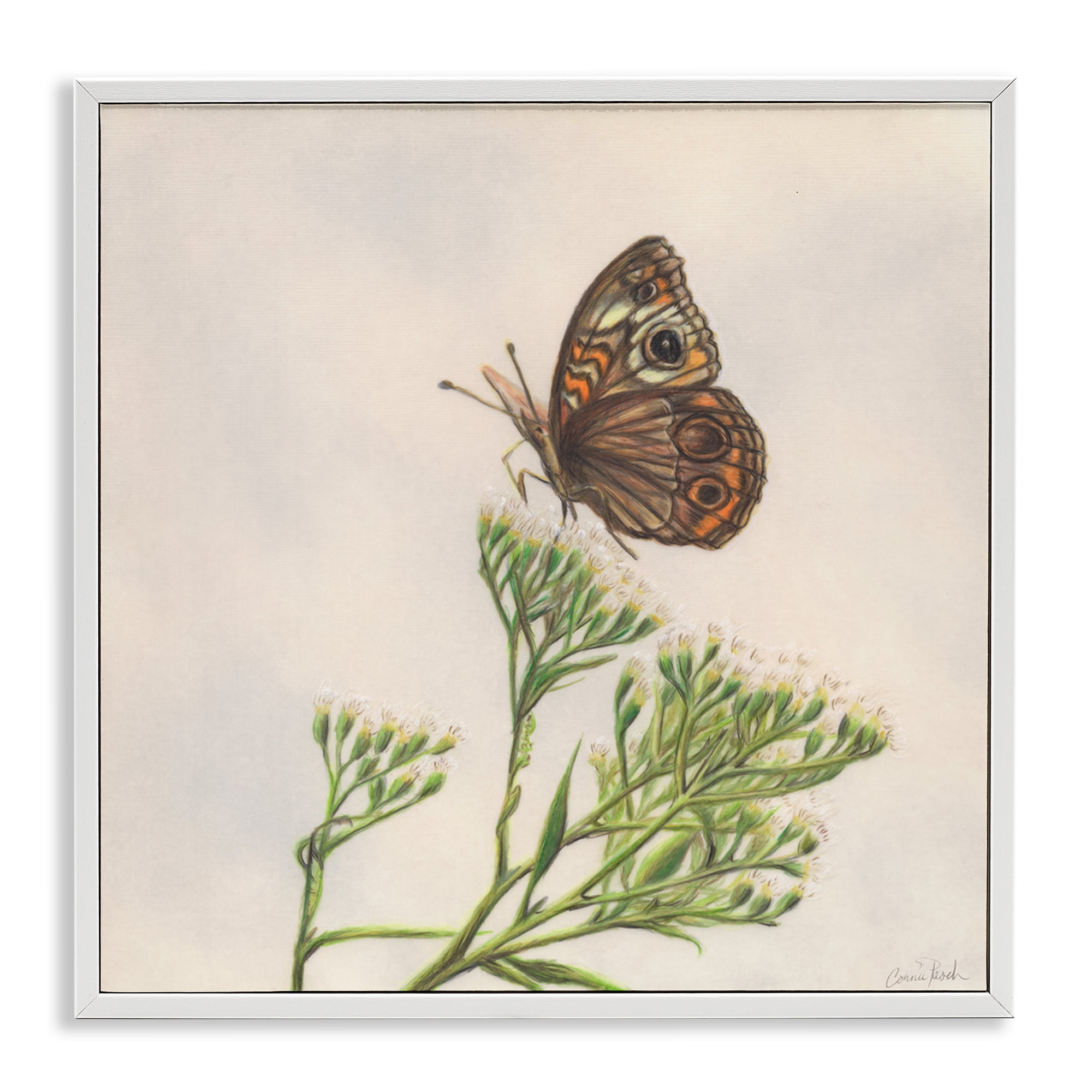 White Framed Butterfly Canvas Print, 24 x 24