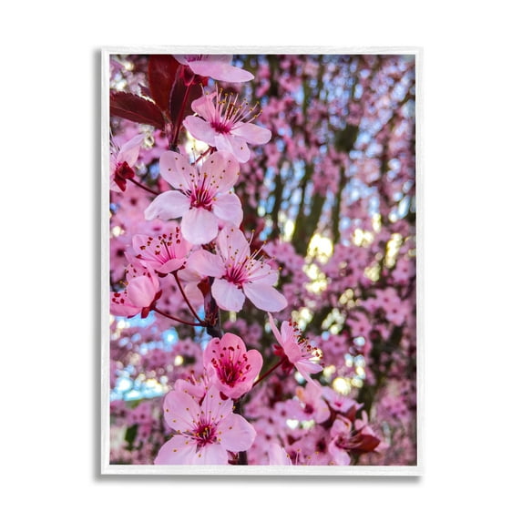 Stupell Industries Spring Pink Cherry Blossom Flowers Blooming Photography Photograph White Framed Art Print Wall Art, Design by Heidi Bannon