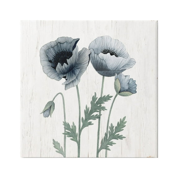 Stupell Industries Spring Poppy Blossoms Budding Flowers Rustic Design Graphic Art Gallery Wrapped Canvas Print Wall Art, Design by Kourtni Gunn