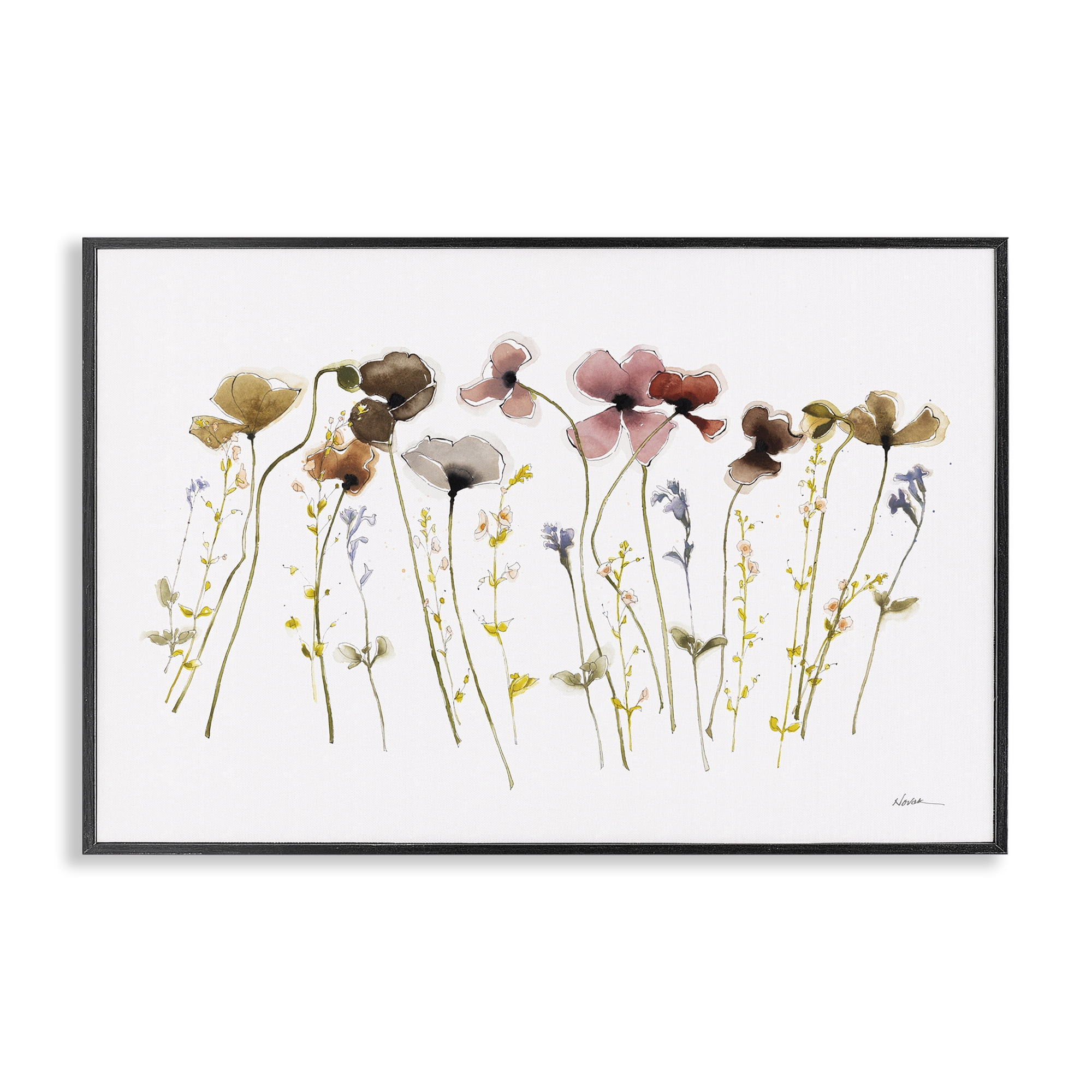 Stupell Industries Spring Poppy Sprigs Botanical & Floral Painting Black Framed Art Print Wall Art, 24 x 16