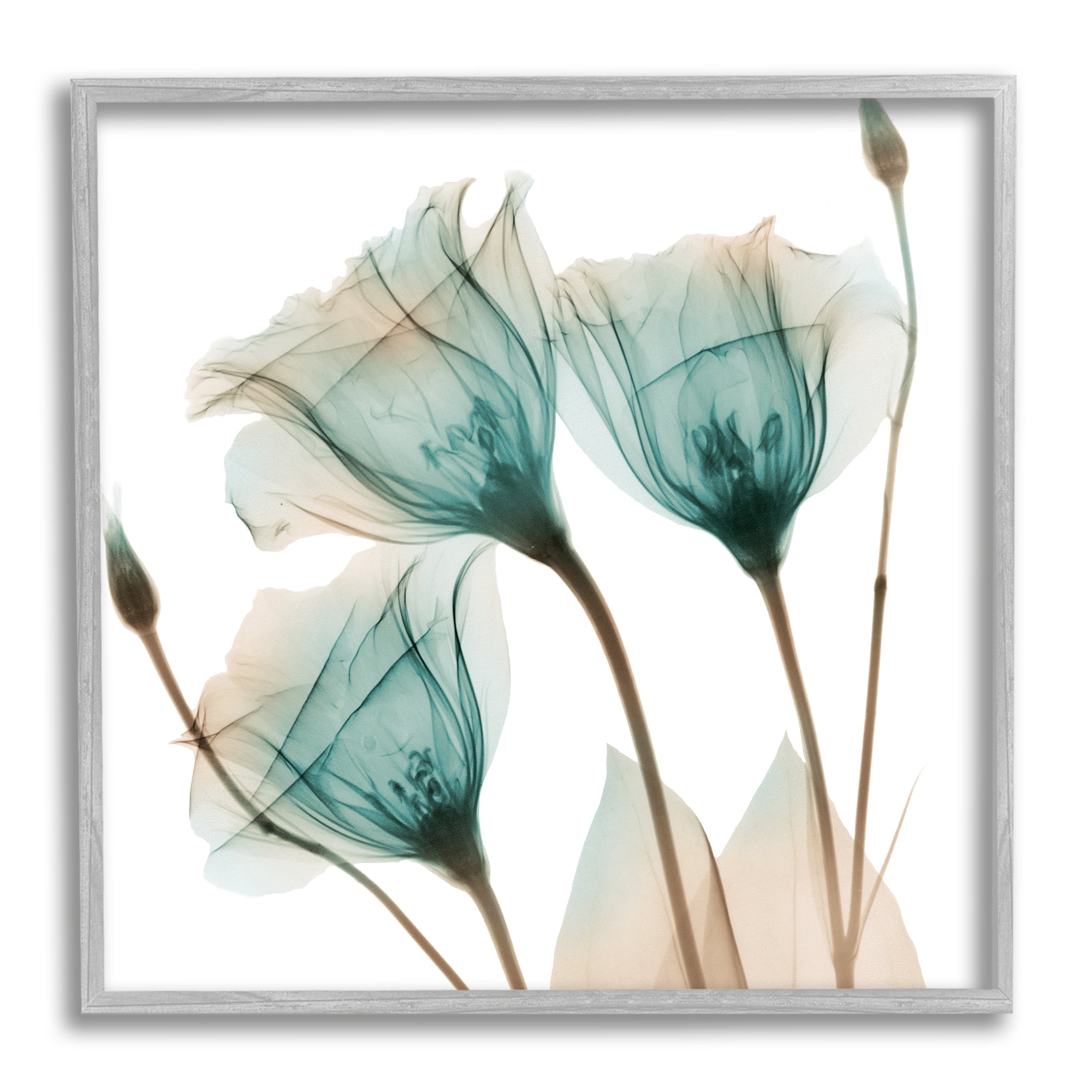 Gray Framed Botanical Floral Photography Wall Art, 12" x 12"