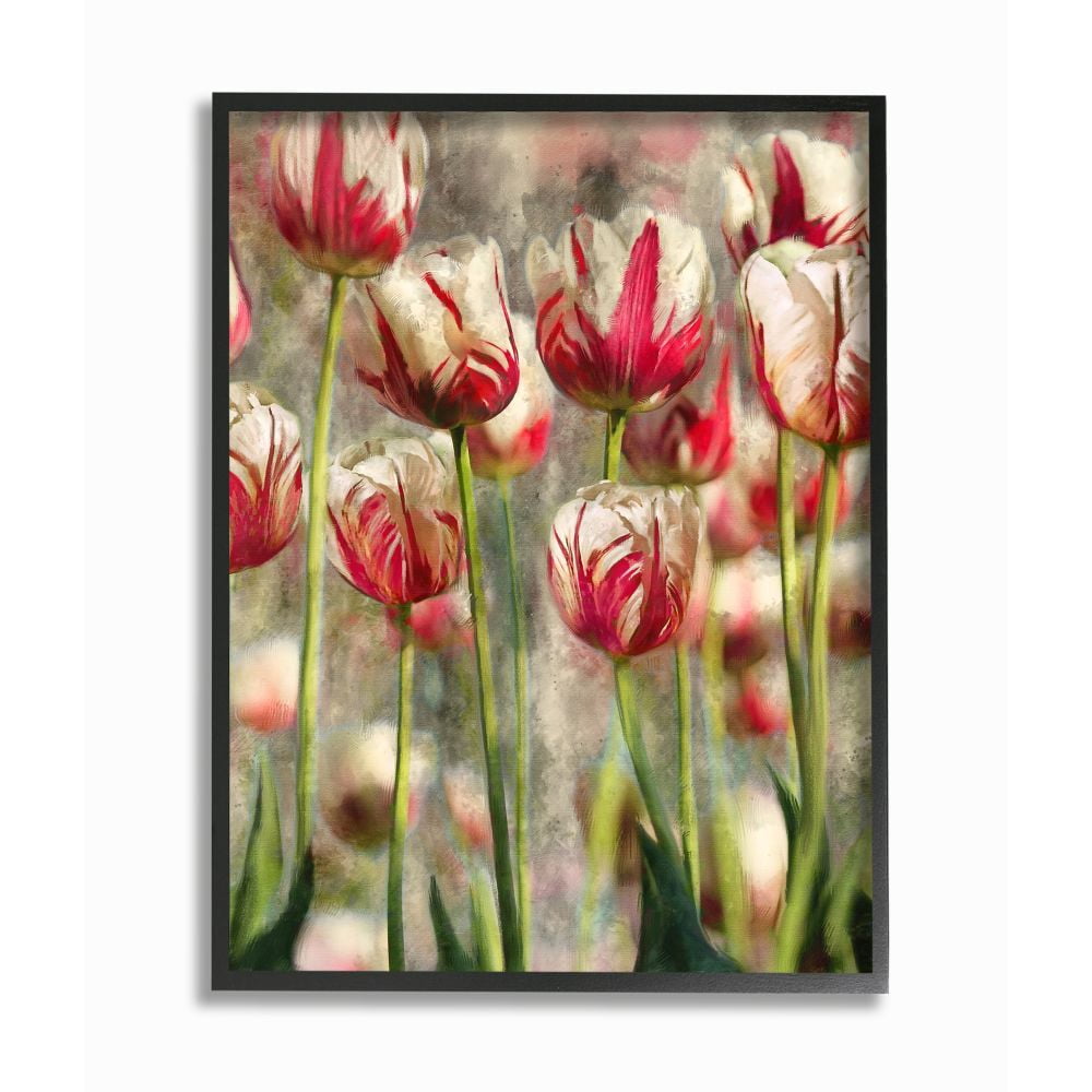 Stupell Industries Spring Tulips in Flower Field Pink White Designed by Ziwei Li