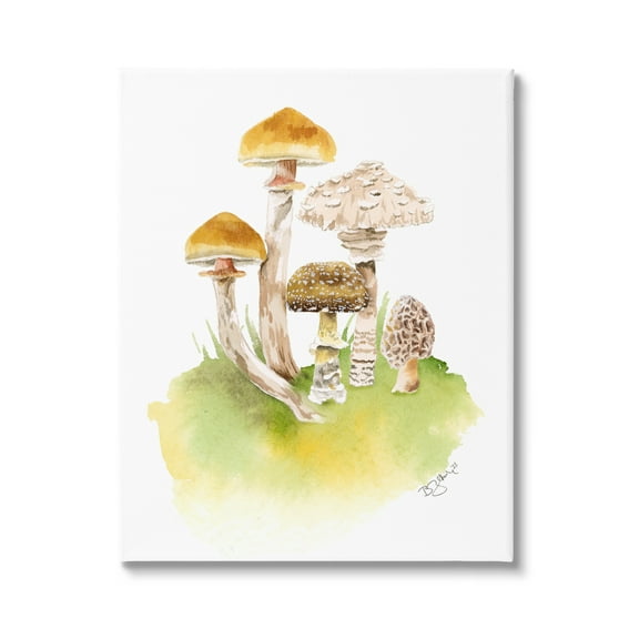 Stupell Industries Sprouting Brown Mushrooms Botanical & Floral Painting Gallery Wrapped Canvas Art Print Wall Art, 16 x 20