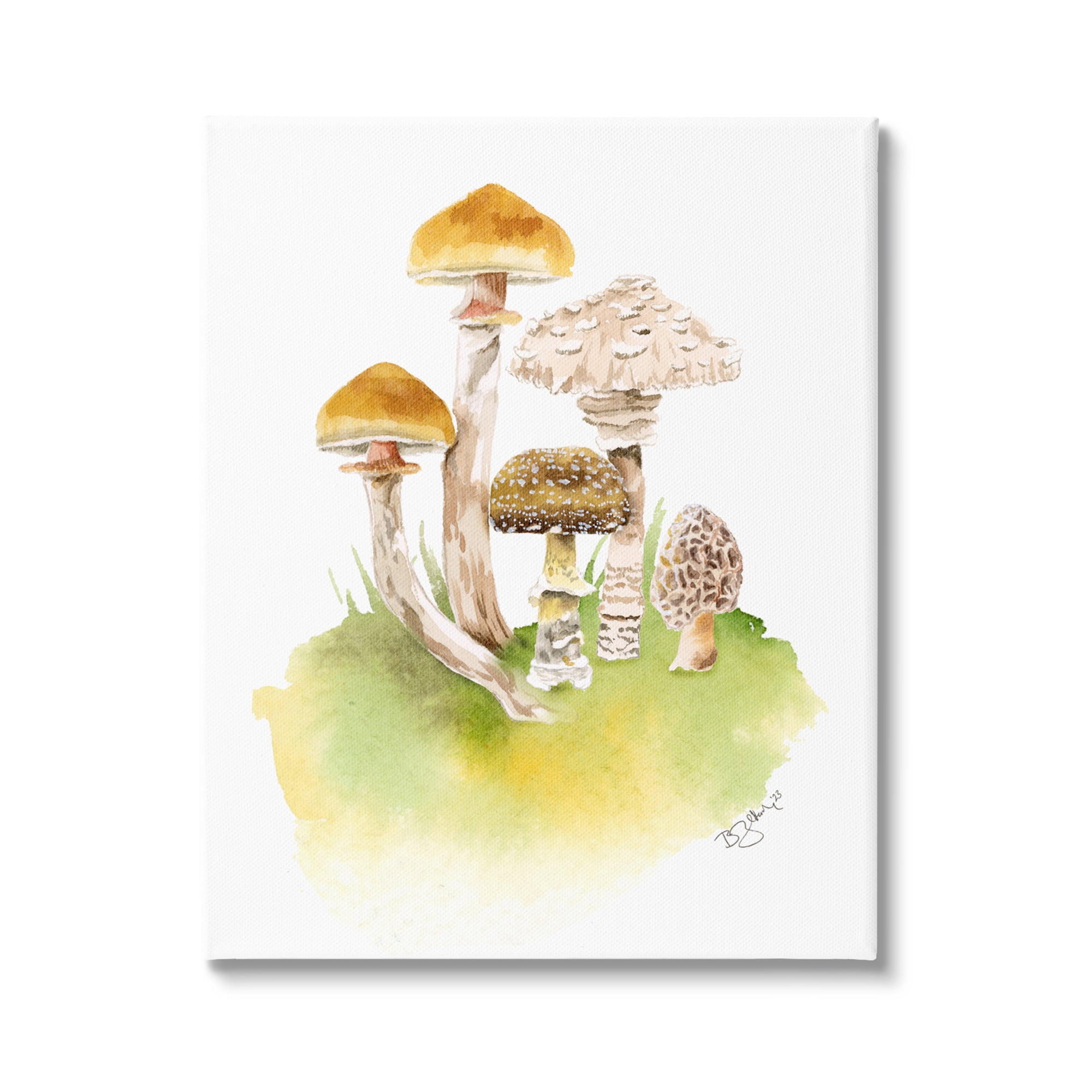 Stupell Industries Sprouting Brown Mushrooms Botanical & Floral Painting Gallery Wrapped Canvas Art Print Wall Art, 36 x 48