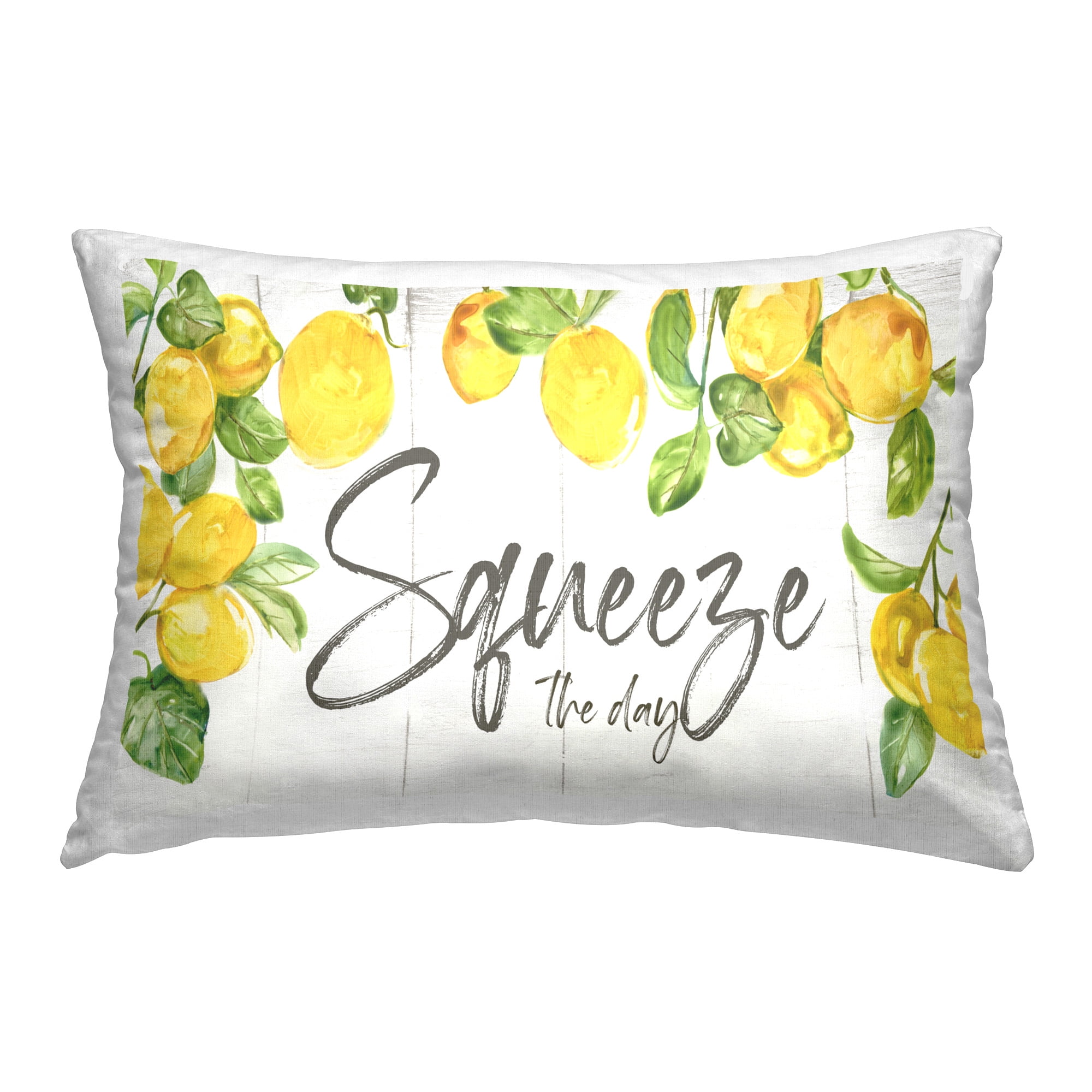 Stupell Industries Squeeze The Day Citrus Decorative Printed Throw Pillow Design by Nan
