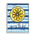 thumbnail image 1 of Stupell Industries Squeeze The Day Expression Lemon Nautical Stripes Landscape Painting Gray Framed Art Print Wall Art, 16 x 20, 1 of 1