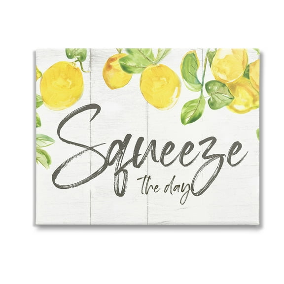 Stupell Industries Squeeze The Day Rustic Food & Beverage Painting Gallery Wrapped Canvas Art Print Wall Art, 20 x 16