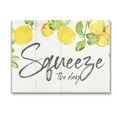 thumbnail image 1 of Stupell Industries Squeeze The Day Rustic Food & Beverage Painting Gallery Wrapped Canvas Art Print Wall Art, 48 x 36, 1 of 8
