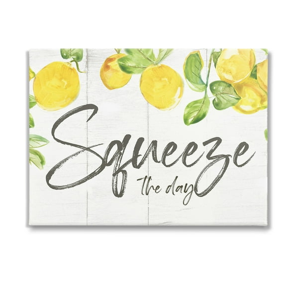 Stupell Industries Squeeze The Day Rustic Food & Beverage Painting Gallery Wrapped Canvas Art Print Wall Art, 48 x 36