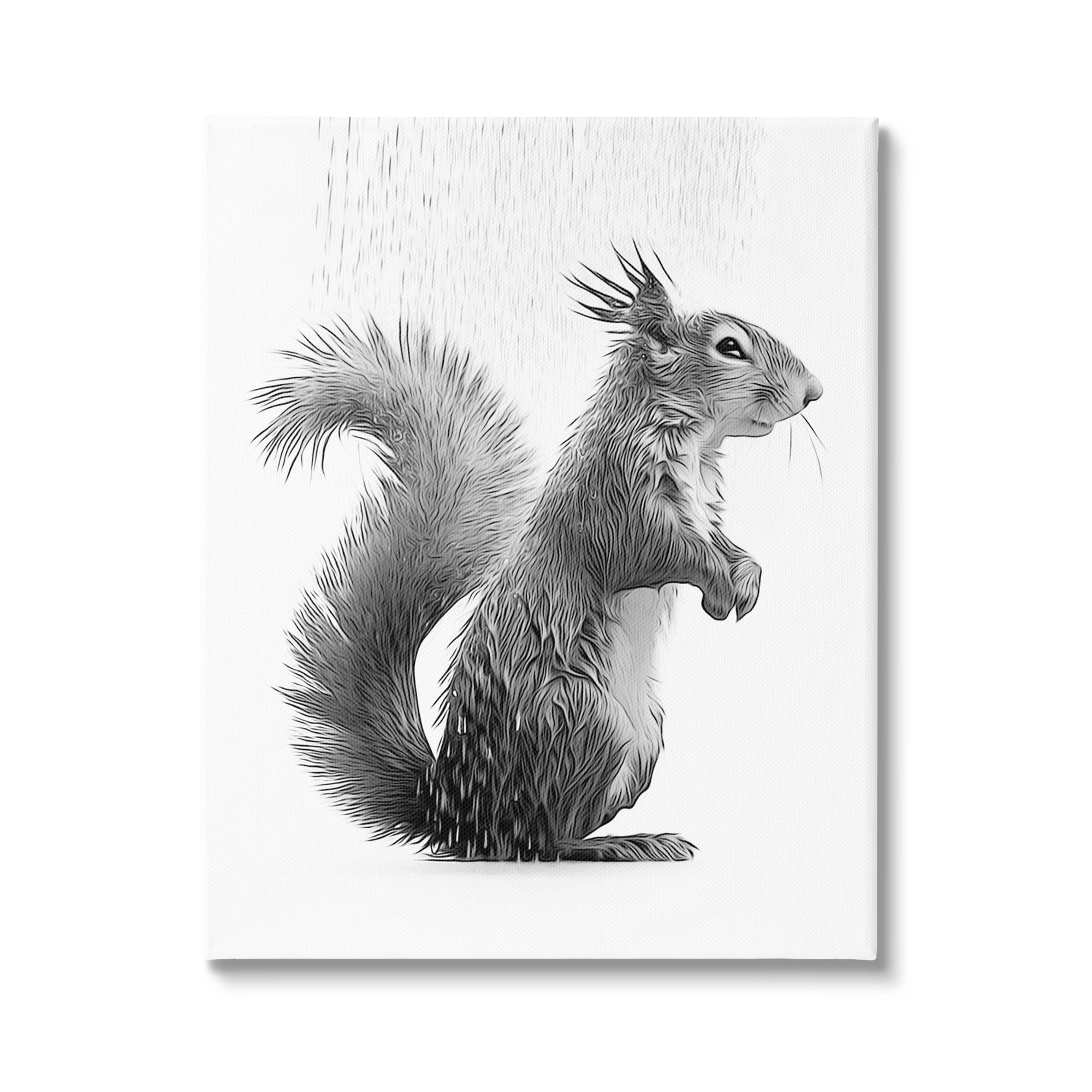 Squirrel Bathroom Splash Black and White Canvas Art