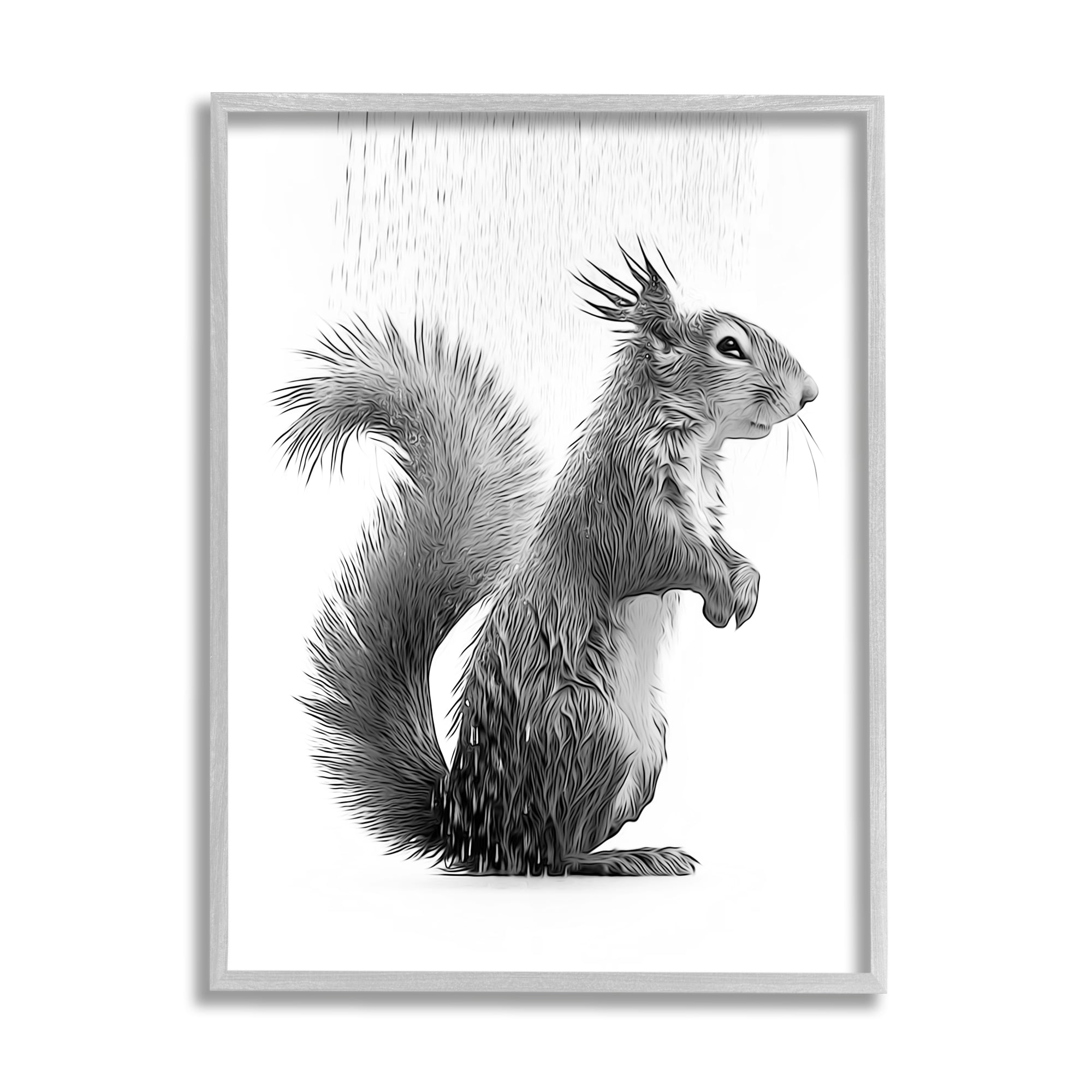 Stupell Industries Squirrel Bathroom Splash Animals & Insects Painting Gray Framed Art Print Wall Art, 11 x 14