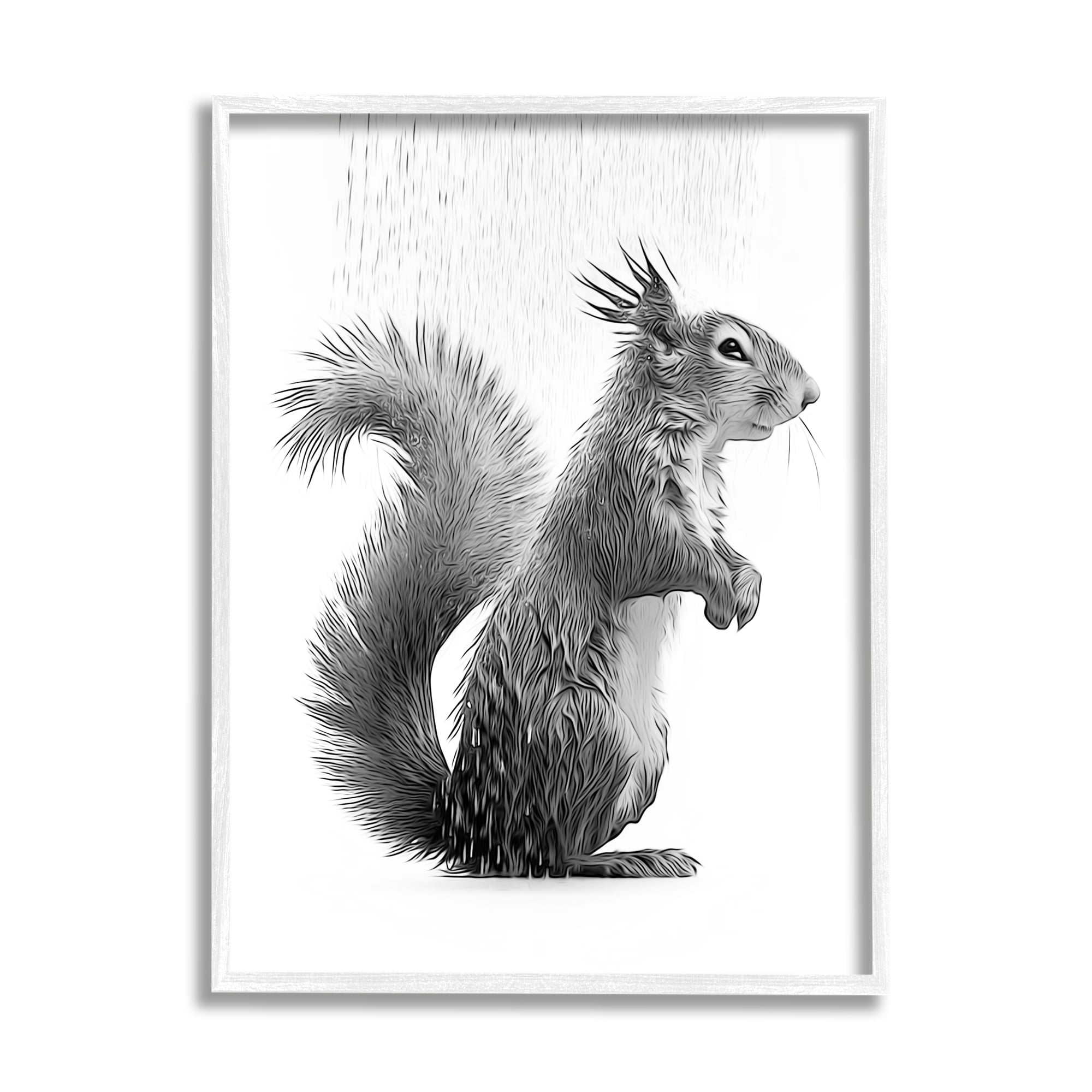 Stupell Industries Squirrel Bathroom Splash Animals & Insects Painting White Framed Art Print Wall Art, 11 x 14