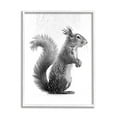 thumbnail image 1 of Stupell Industries Squirrel Bathroom Splash Animals & Insects Painting White Framed Art Print Wall Art, 24 x 30, 1 of 9