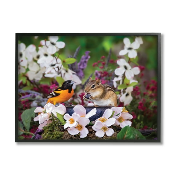 Stupell Industries Squirrel & Bird in Nature Animals & Insects Photography Black Framed Art Print Wall Art, 14 x 11