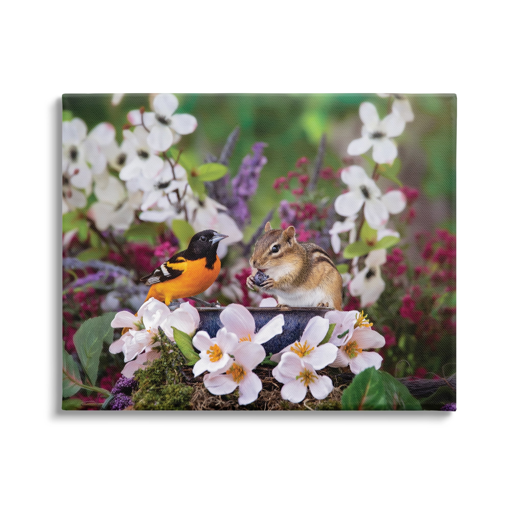 Stupell Industries Squirrel & Bird in Nature Animals & Insects Photography Gallery Wrapped Canvas Print Wall Art, 20 x 16