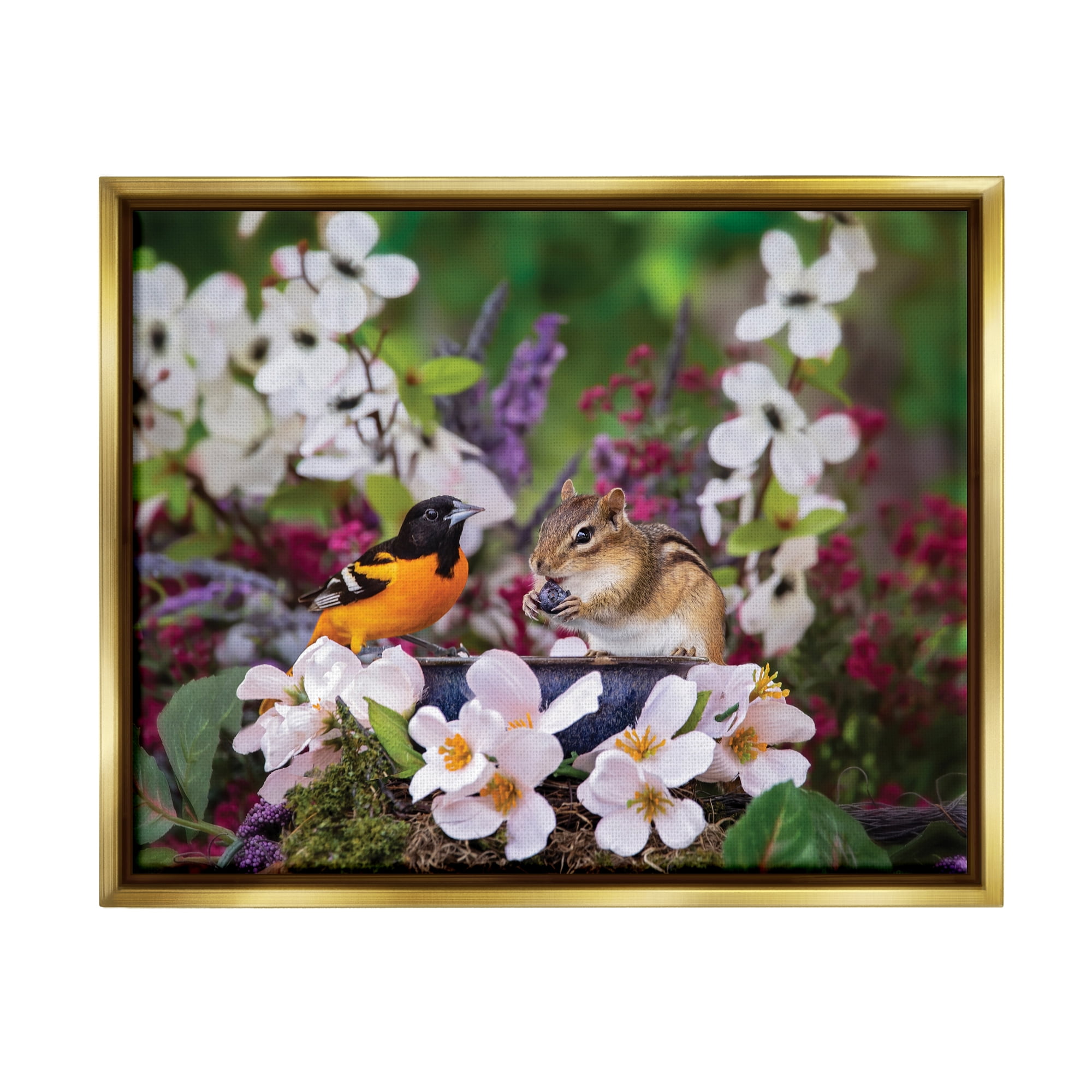 Stupell Industries Squirrel & Bird in Nature Animals & Insects Photography Gold Floater Framed Art Print Wall Art, 31 x 25