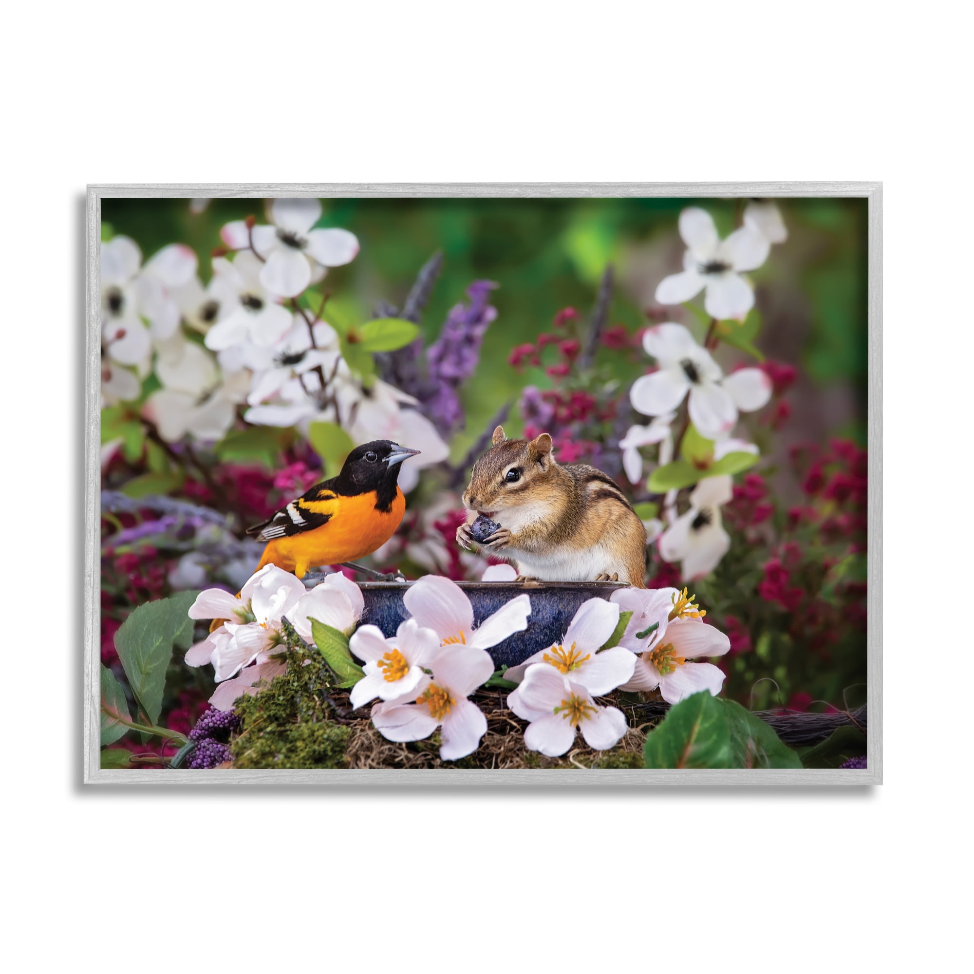 Stupell Industries Squirrel & Bird in Nature Animals & Insects Photography Gray Framed Art Print Wall Art, 30 x 24
