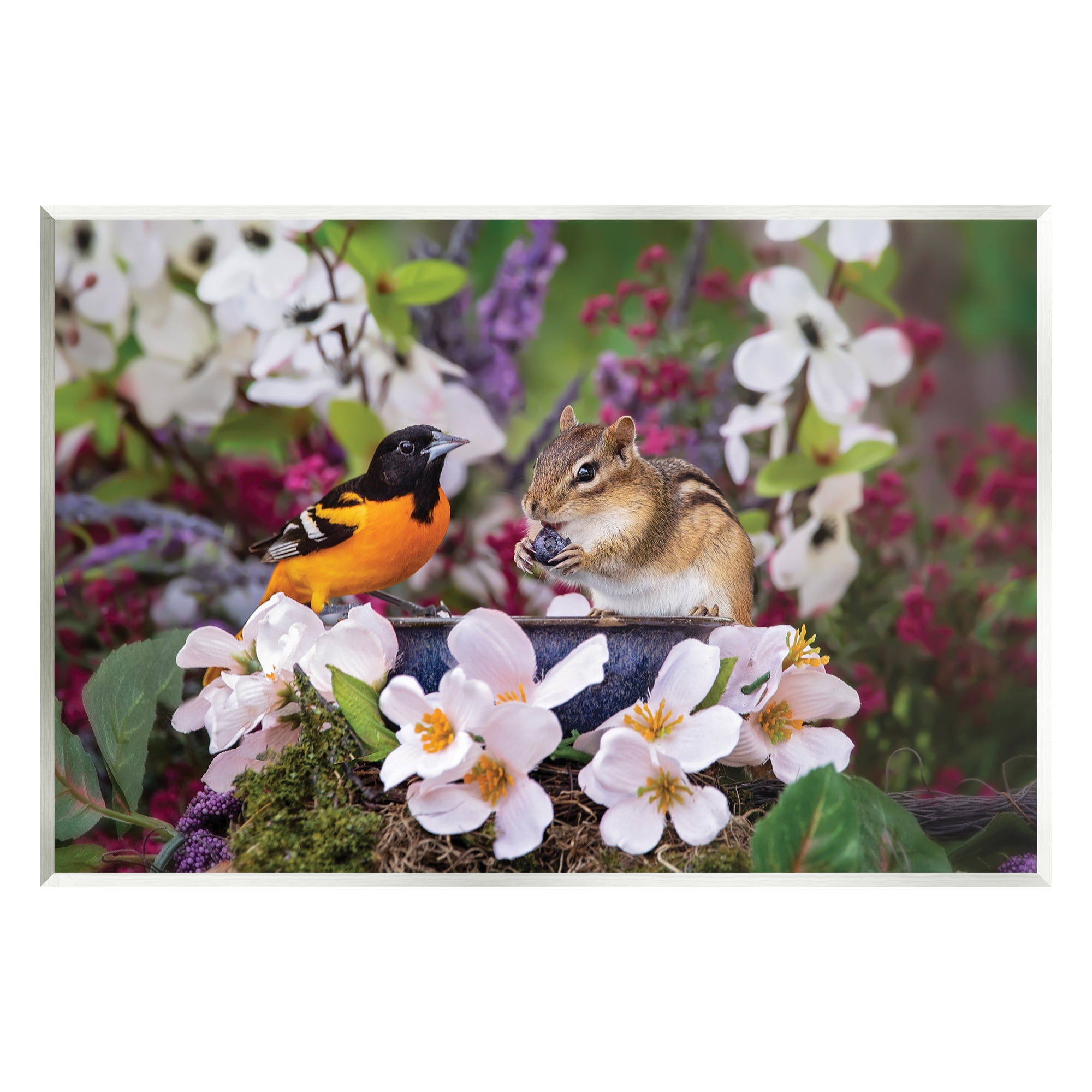 Stupell Industries Squirrel & Bird in Nature Animals & Insects Photography Unframed Art Print Wall Art, 19 x 13