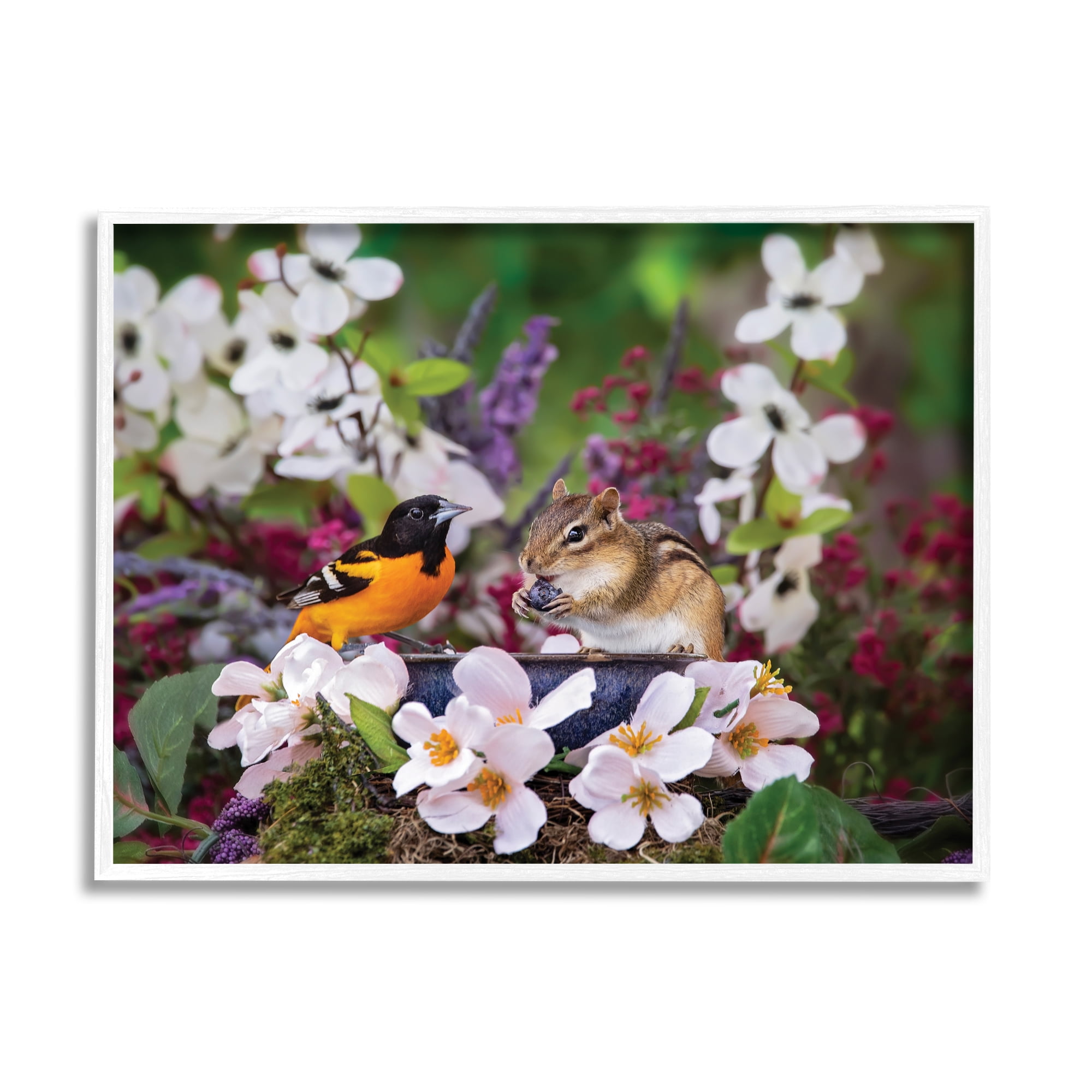 Stupell Industries Squirrel & Bird in Nature Animals & Insects Photography White Framed Art Print Wall Art, 20 x 16