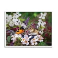 thumbnail image 1 of Stupell Industries Squirrel & Bird in Nature Animals & Insects Photography White Framed Art Print Wall Art, 30 x 24, 1 of 9