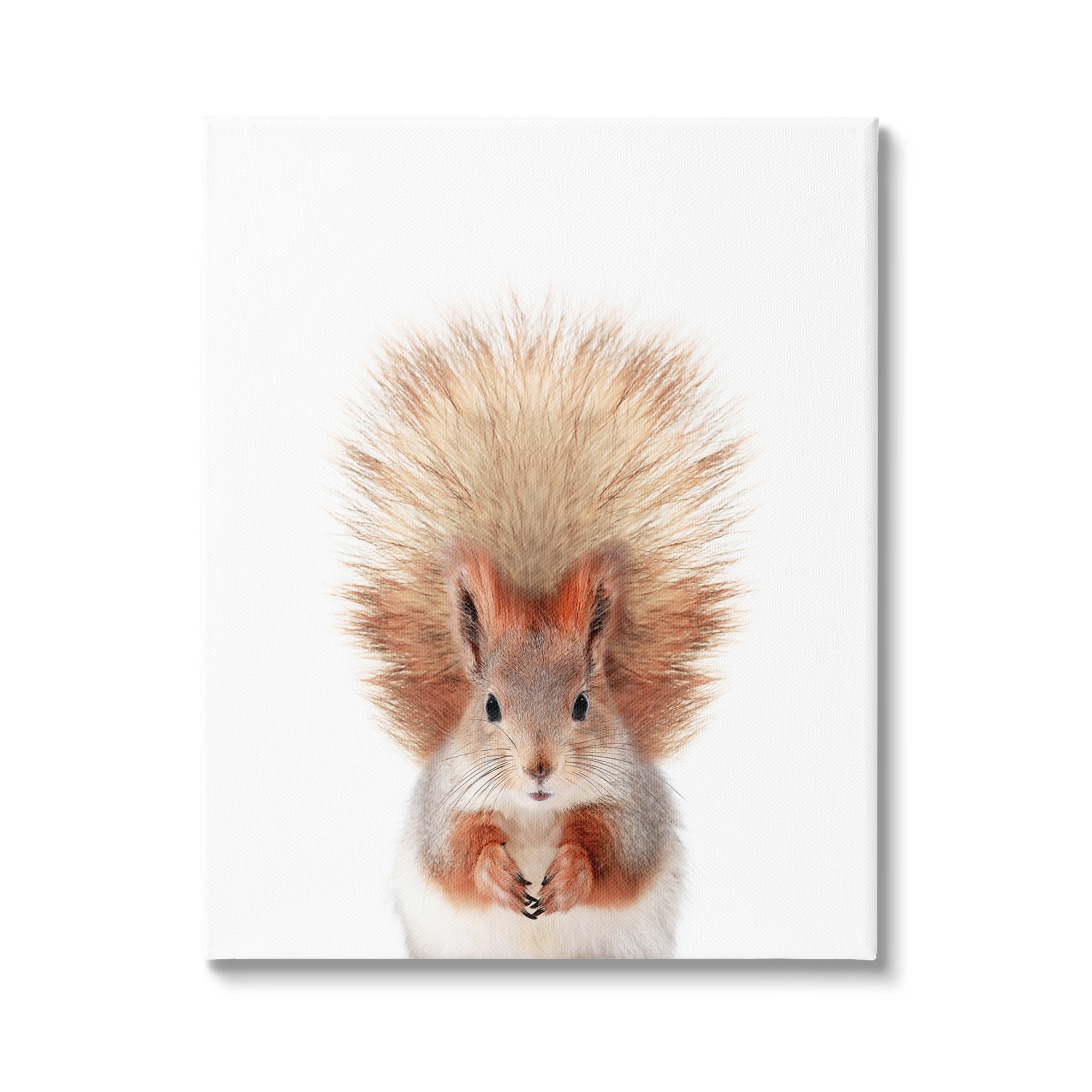 Stupell Industries Squirrel Wildlife Portrait Animals & Insects Painting Gallery Wrapped Canvas Print Wall Art, 30 x 40