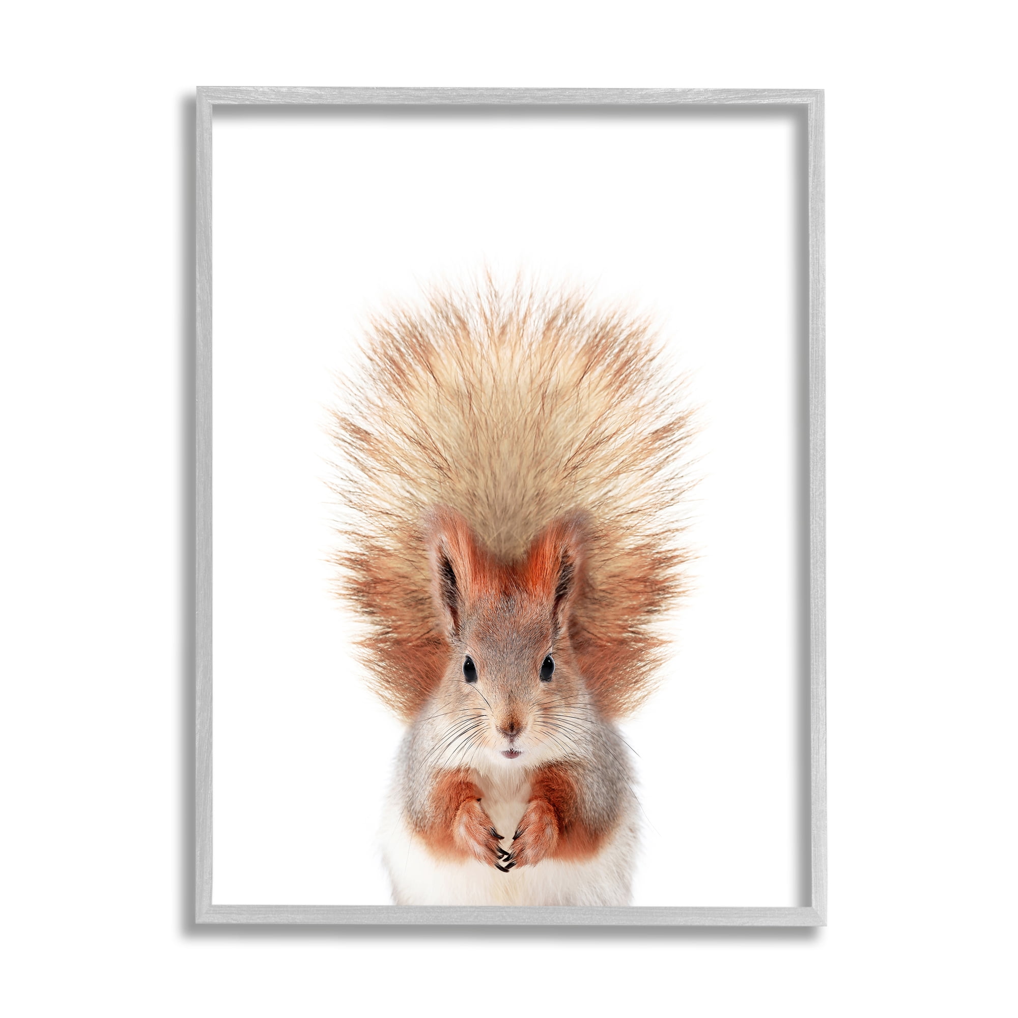 Stupell Industries Squirrel Wildlife Portrait Animals & Insects Painting Gray Framed Art Print Wall Art, 16 x 20