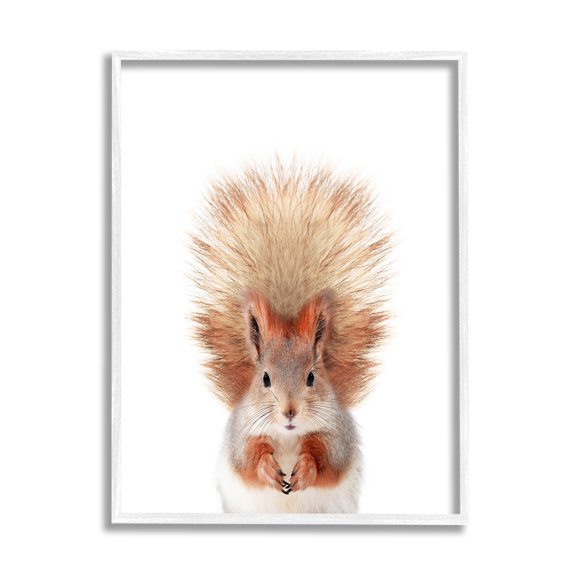 Stupell Industries Squirrel Wildlife Portrait Animals & Insects Painting White Framed Art Print Wall Art, 16 x 20