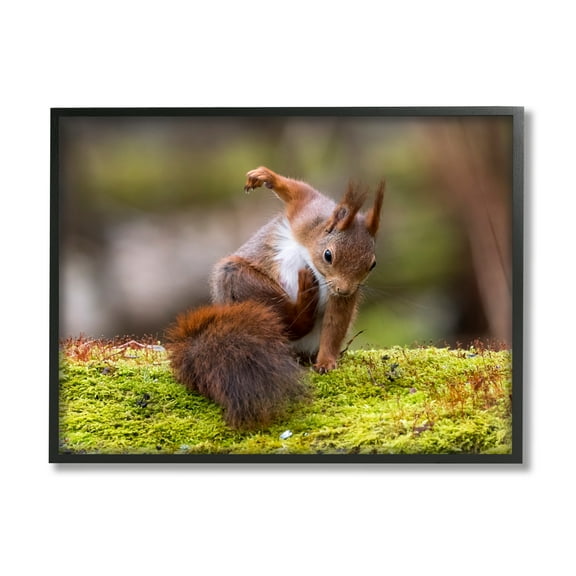Stupell Industries Squirrel on Mossy Log Animals & Insects Photography Black Framed Art Print Wall Art, 14 x 11