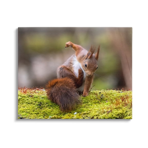 Stupell Industries Squirrel on Mossy Log Animals & Insects Photography Gallery Wrapped Canvas Art Print Wall Art, 20 x 16