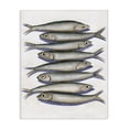thumbnail image 1 of Stupell Industries Stacked Anchovy Fish Canvas Wall Art design by Michael Willett, 20 x 16, 1 of 7