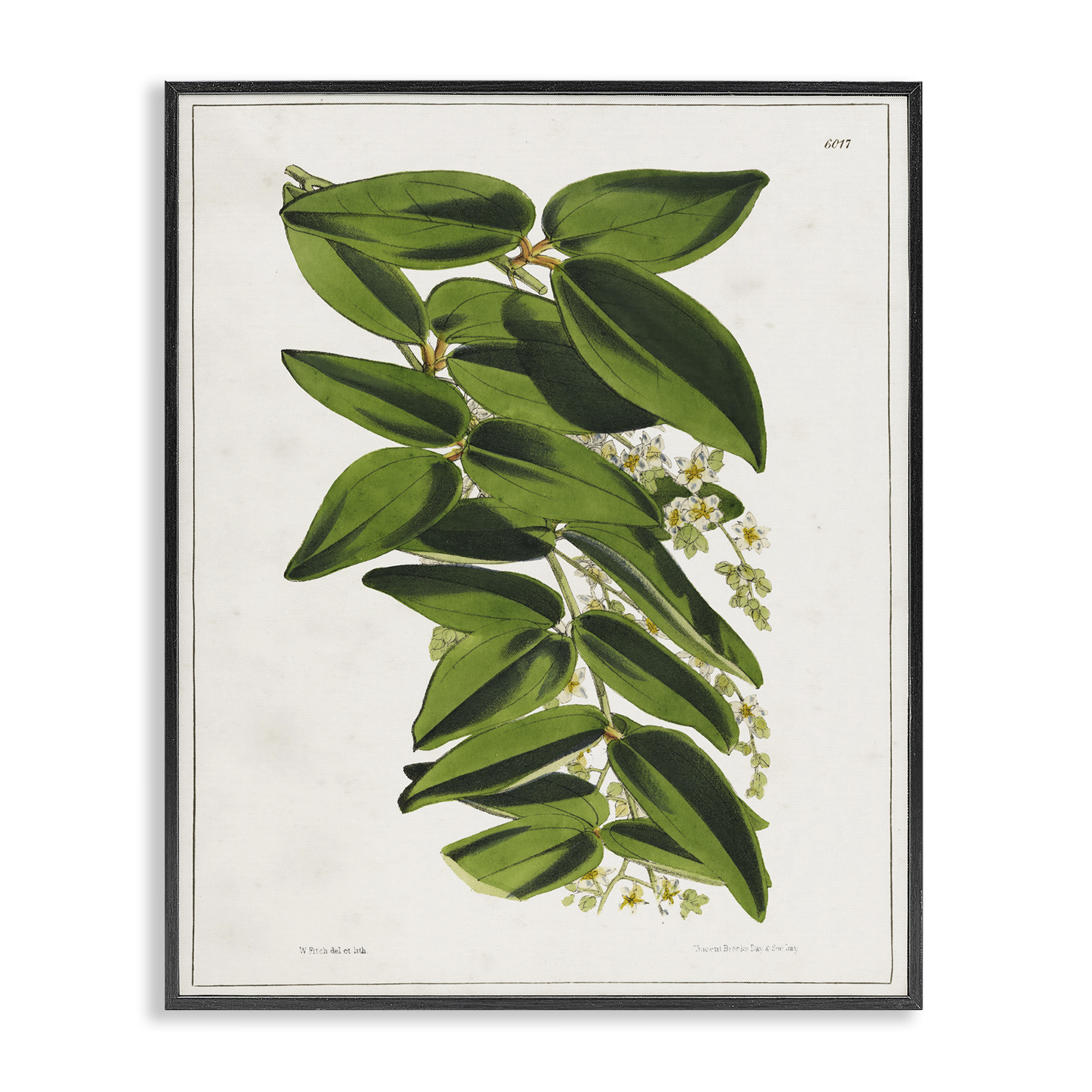 Stupell Industries Stacked Leaves Botanical Plants & Flowers Painting Black Framed Art Print Wall Art, 16 x 20