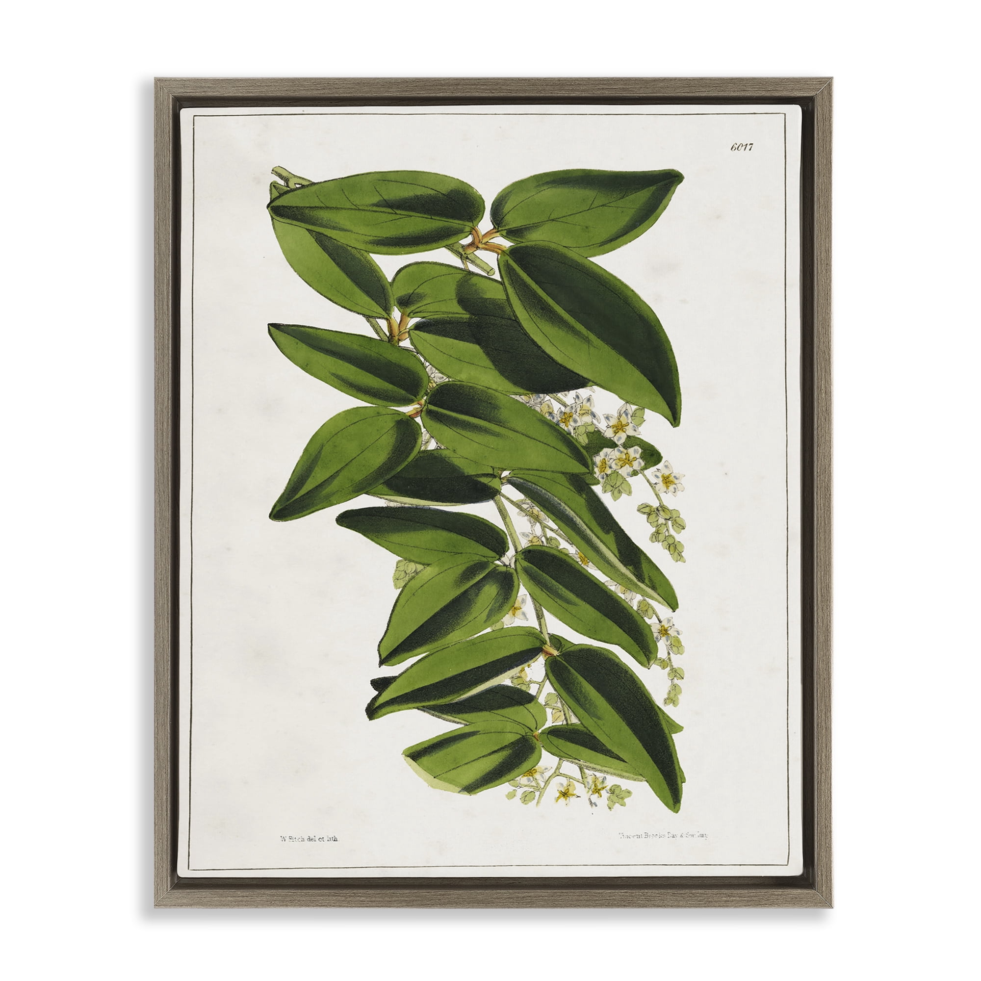 Stupell Industries Stacked Leaves Botanical Plants & Flowers Painting Brown Floater Framed Canvas Art Print Wall Art, 17 x 21