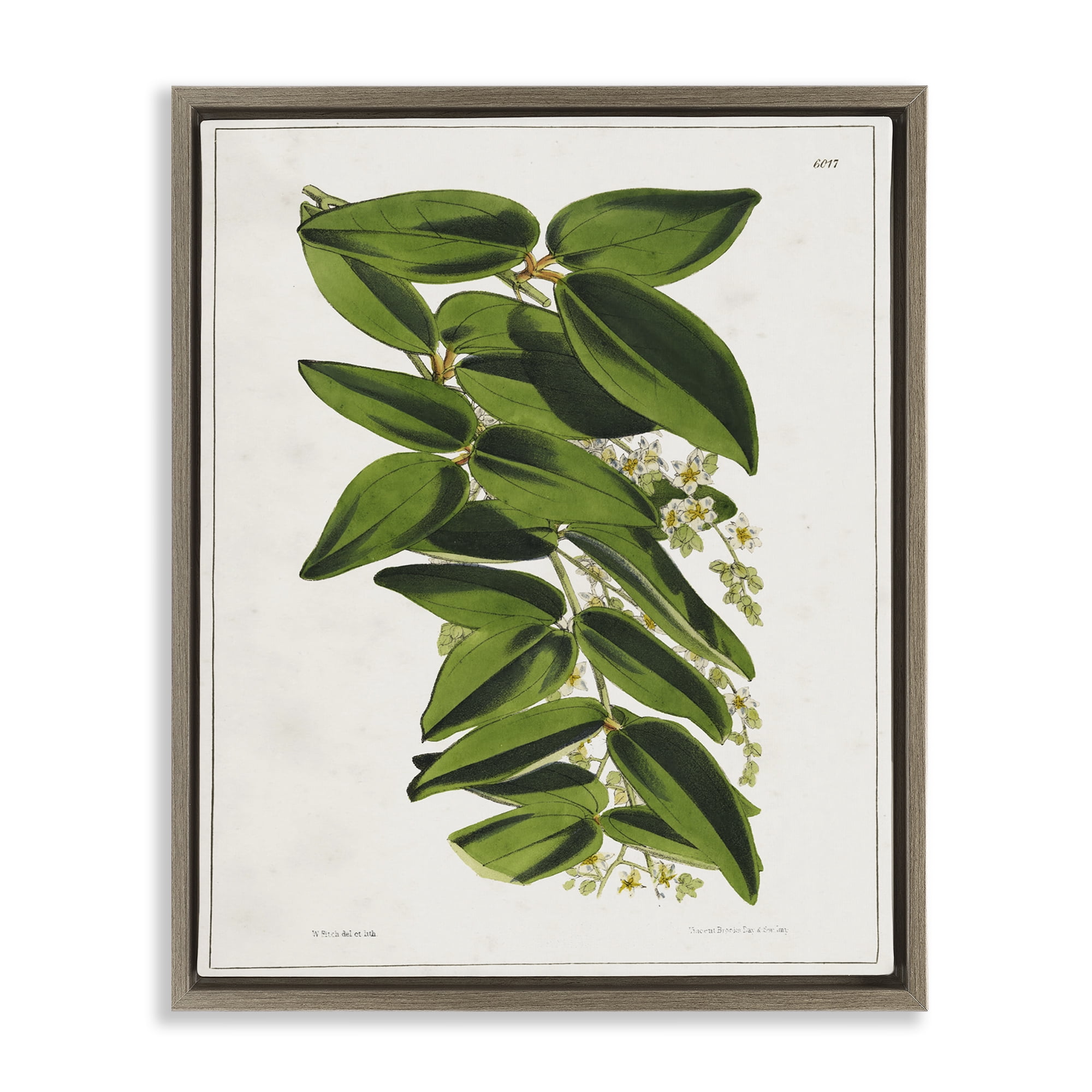 Stupell Industries Stacked Leaves Botanical Plants & Flowers Painting Brown Floater Framed Canvas Art Print Wall Art, 25 x 31