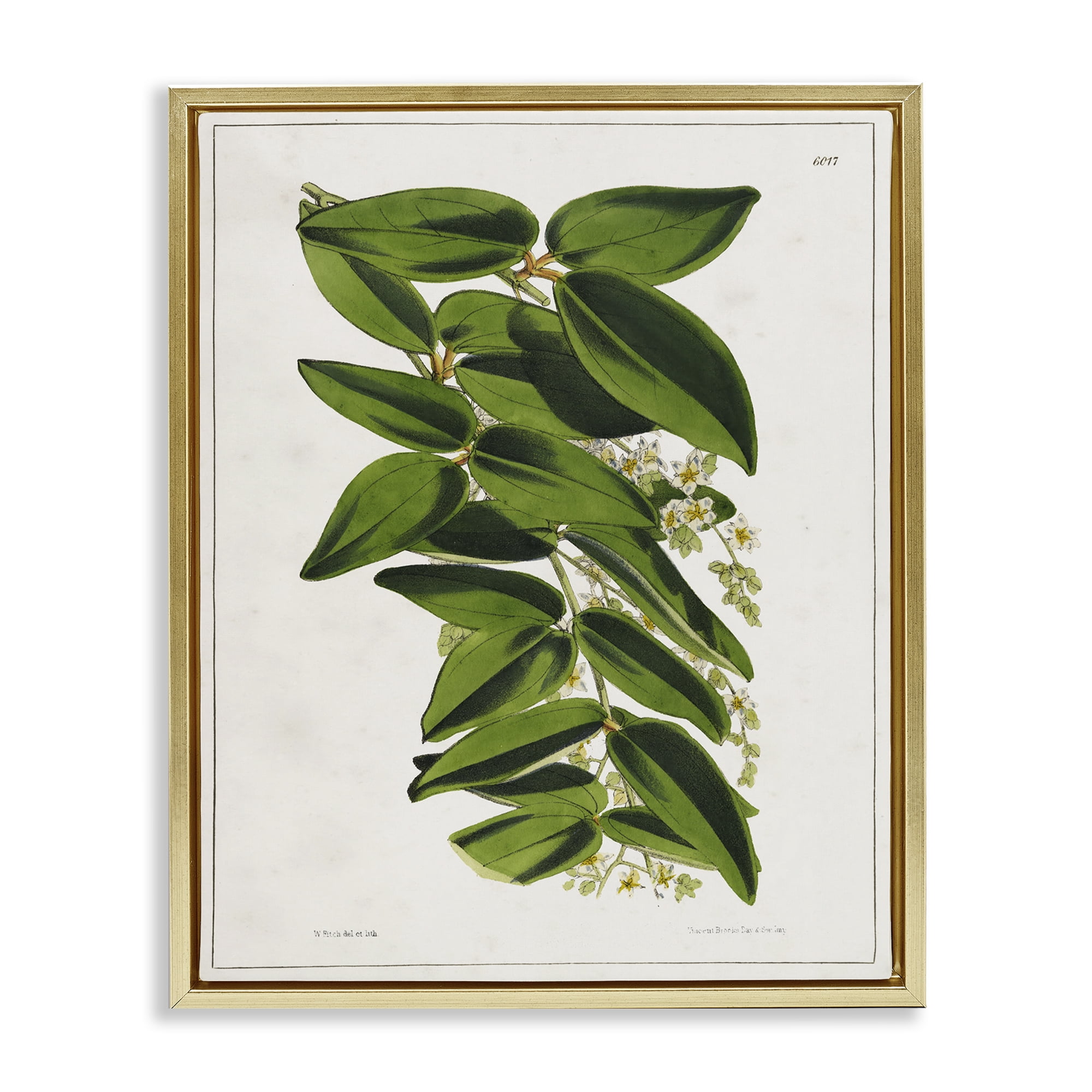 Stupell Industries Stacked Leaves Botanical Plants & Flowers Painting Gold Floater Framed Canvas Art Print Wall Art, 25 x 31