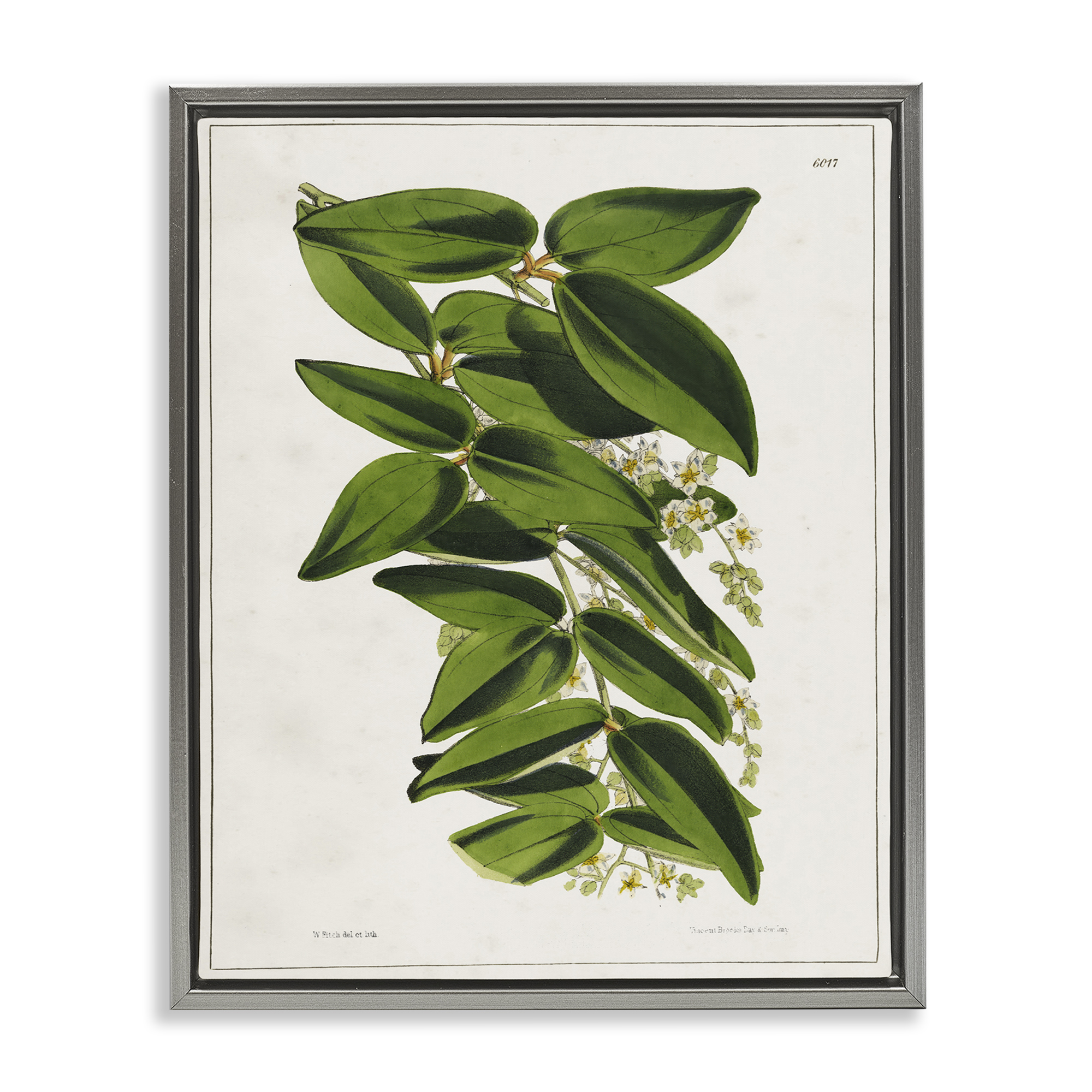 Stupell Industries Stacked Leaves Botanical Plants & Flowers Painting Gray Floater Framed Canvas Art Print Wall Art, 17 x 21