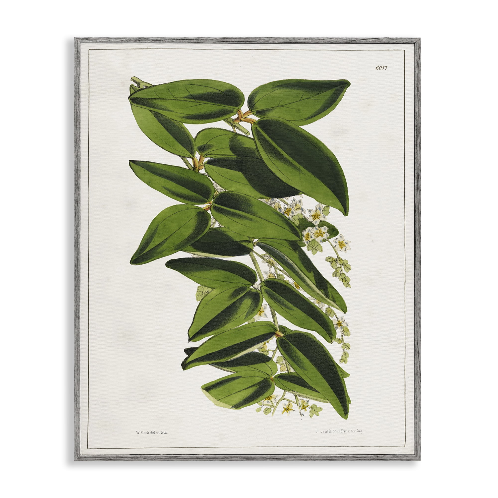 Stupell Industries Stacked Leaves Botanical Plants & Flowers Painting Gray Framed Art Print Wall Art, 11 x 14