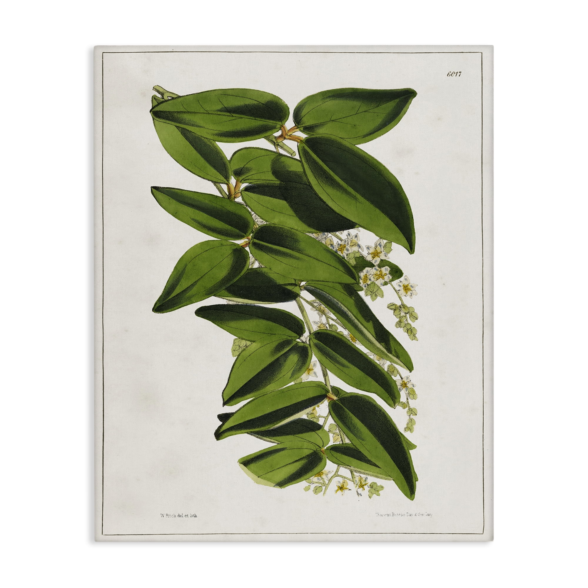 Stupell Industries Stacked Leaves Botanical Plants & Flowers Painting Wrapped Canvas Art Print Wall Art, 30 x 40