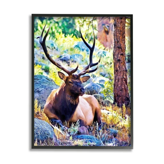 Stupell Industries Stag Deer Resting Amid Forest Trees Natural Wildlife Graphic Art Black Framed Art Print Wall Art, Design by Alpenglow Workshop