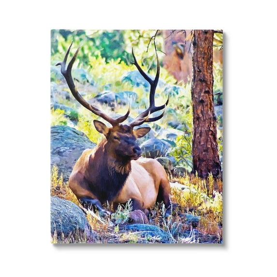 Stupell Industries Stag Deer Resting Amid Forest Trees Natural Wildlife Graphic Art Gallery Wrapped Canvas Print Wall Art, Design by Alpenglow Workshop