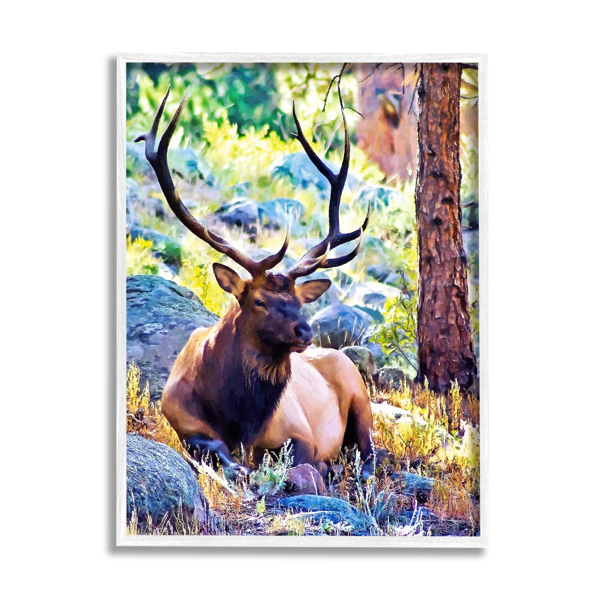 Stupell Industries Stag Deer Resting Amid Forest Trees Natural Wildlife Graphic Art White Framed Art Print Wall Art, Design by Alpenglow Workshop