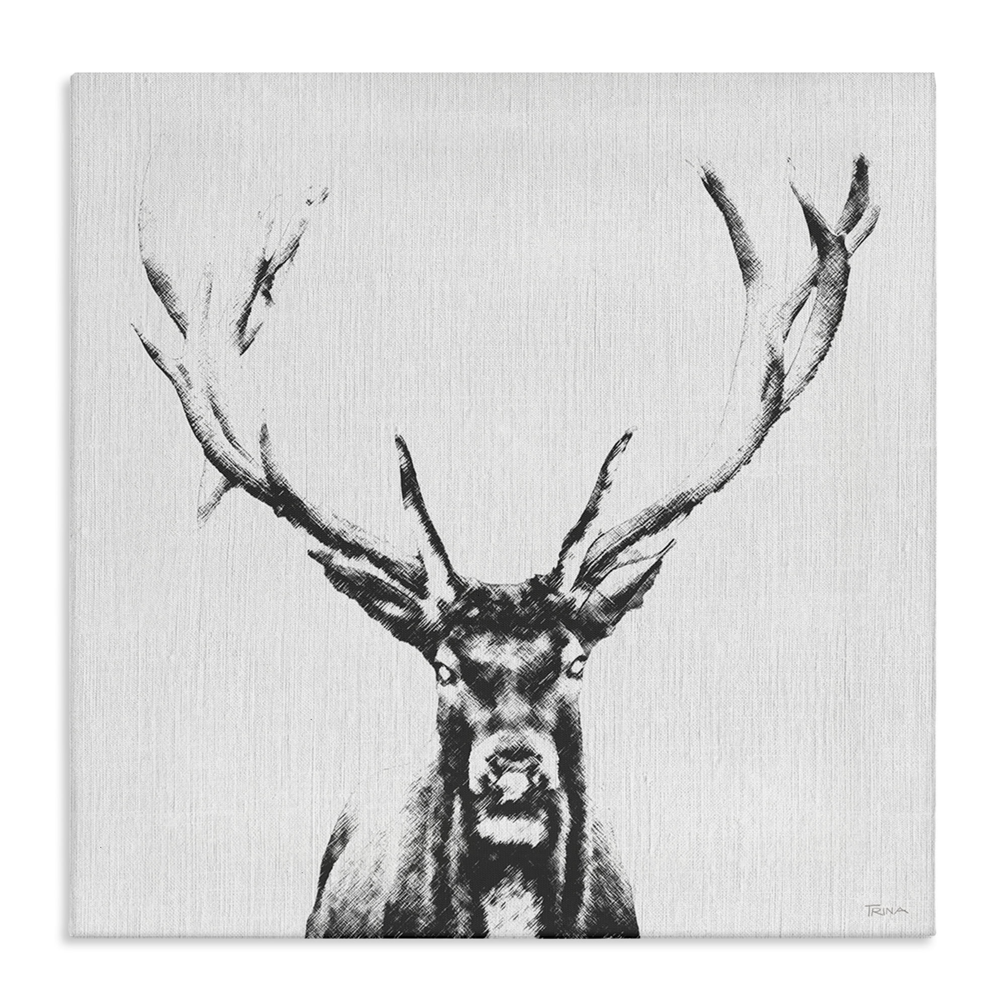 Stupell Industries Stag Sketch in Grey Animals Painting Wrapped Canvas Art Print Wall Art, 36 x 36