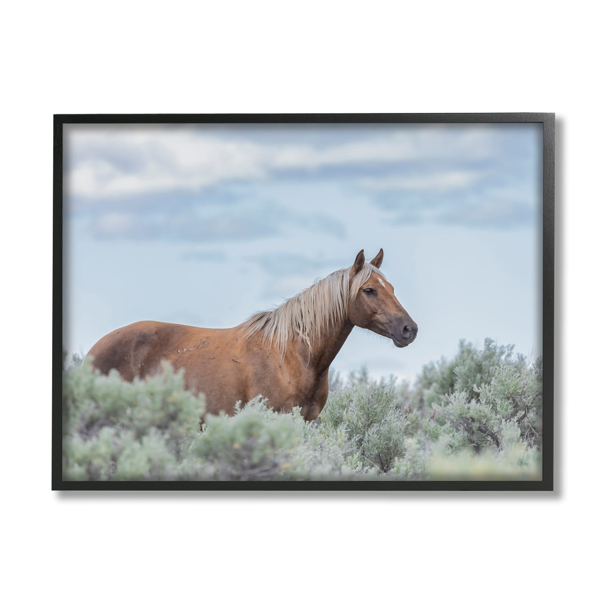 Stupell Industries Stallion Horse Among Bushes Clear Blue Sky Graphic Art Black Framed Art Print Wall Art, Design by Lauri McFerrin